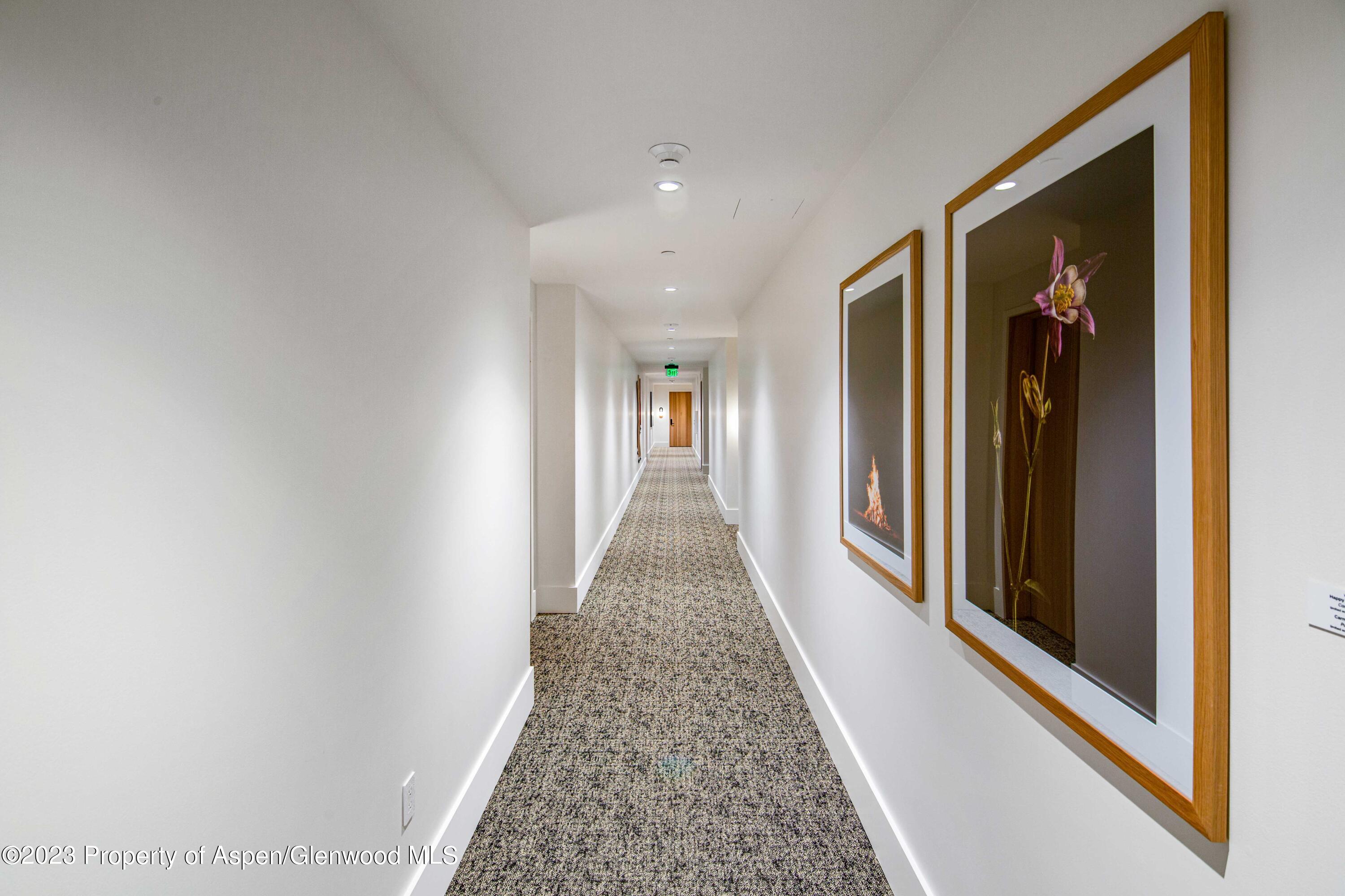 119 Wood Road Snowmass Village CO 81615