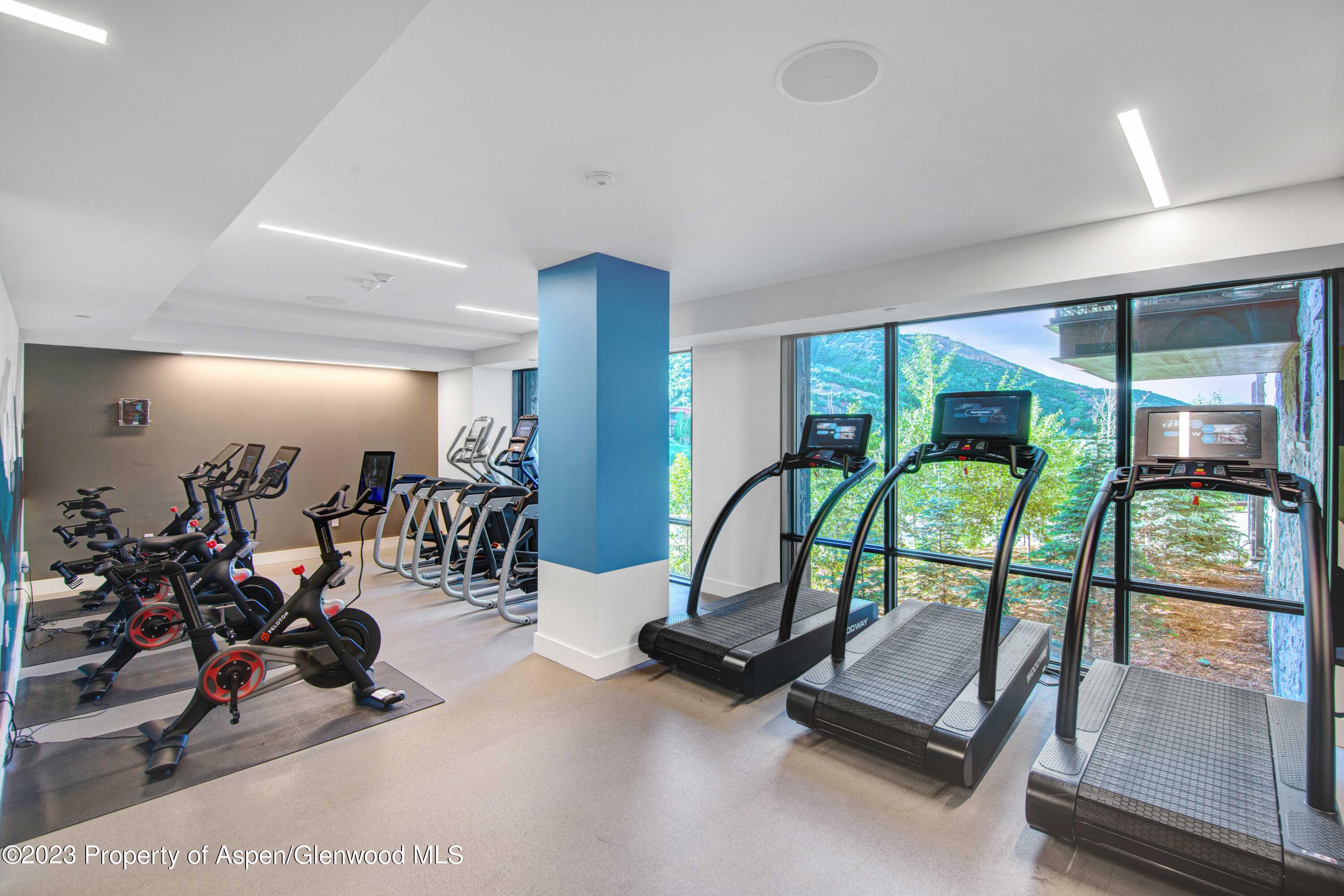 119 Wood Road Snowmass Village CO 81615