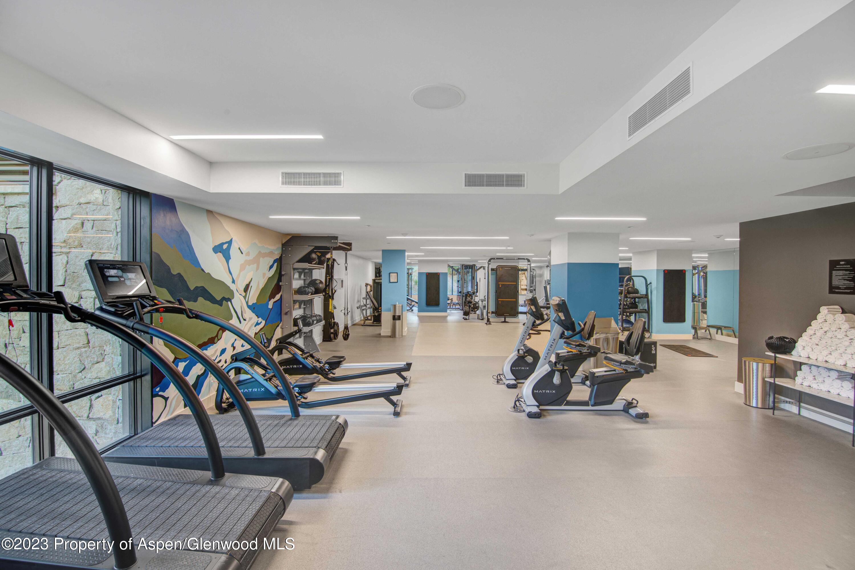 119 Wood Road Snowmass Village CO 81615