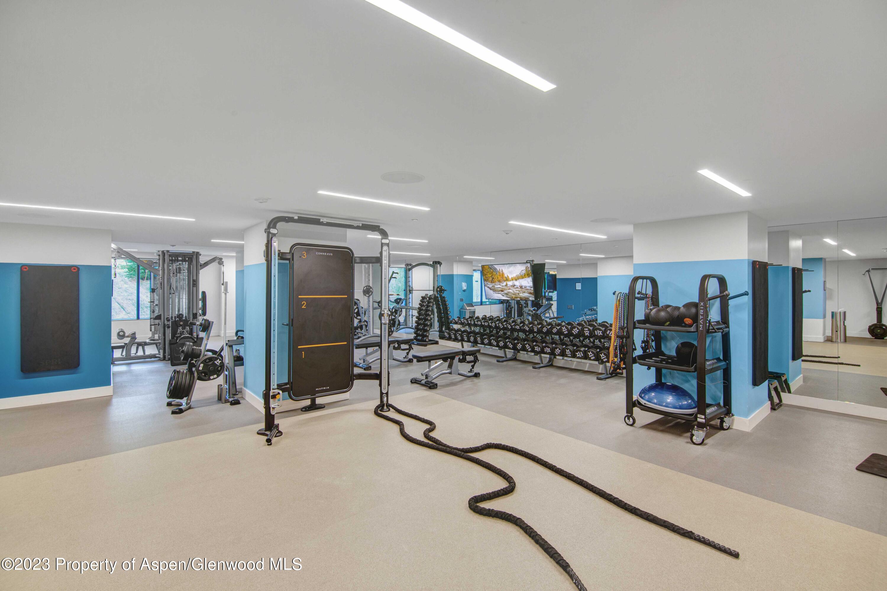 119 Wood Road Snowmass Village CO 81615