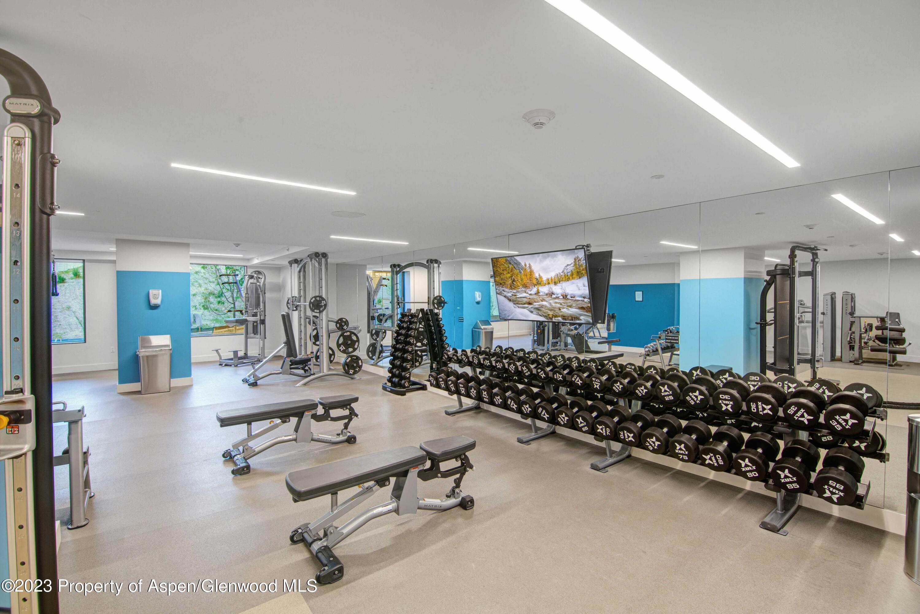 119 Wood Road Snowmass Village CO 81615