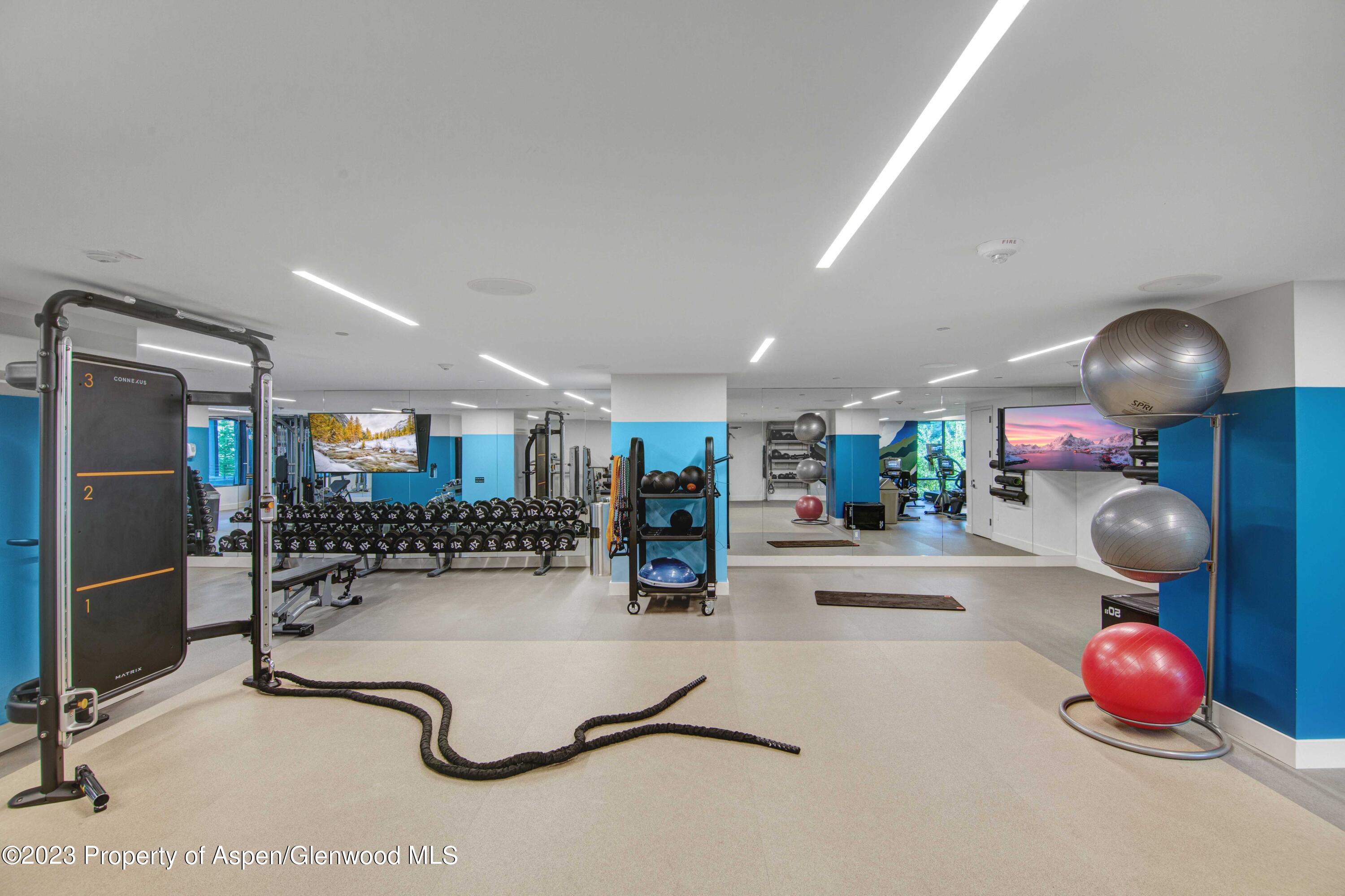 119 Wood Road Snowmass Village CO 81615