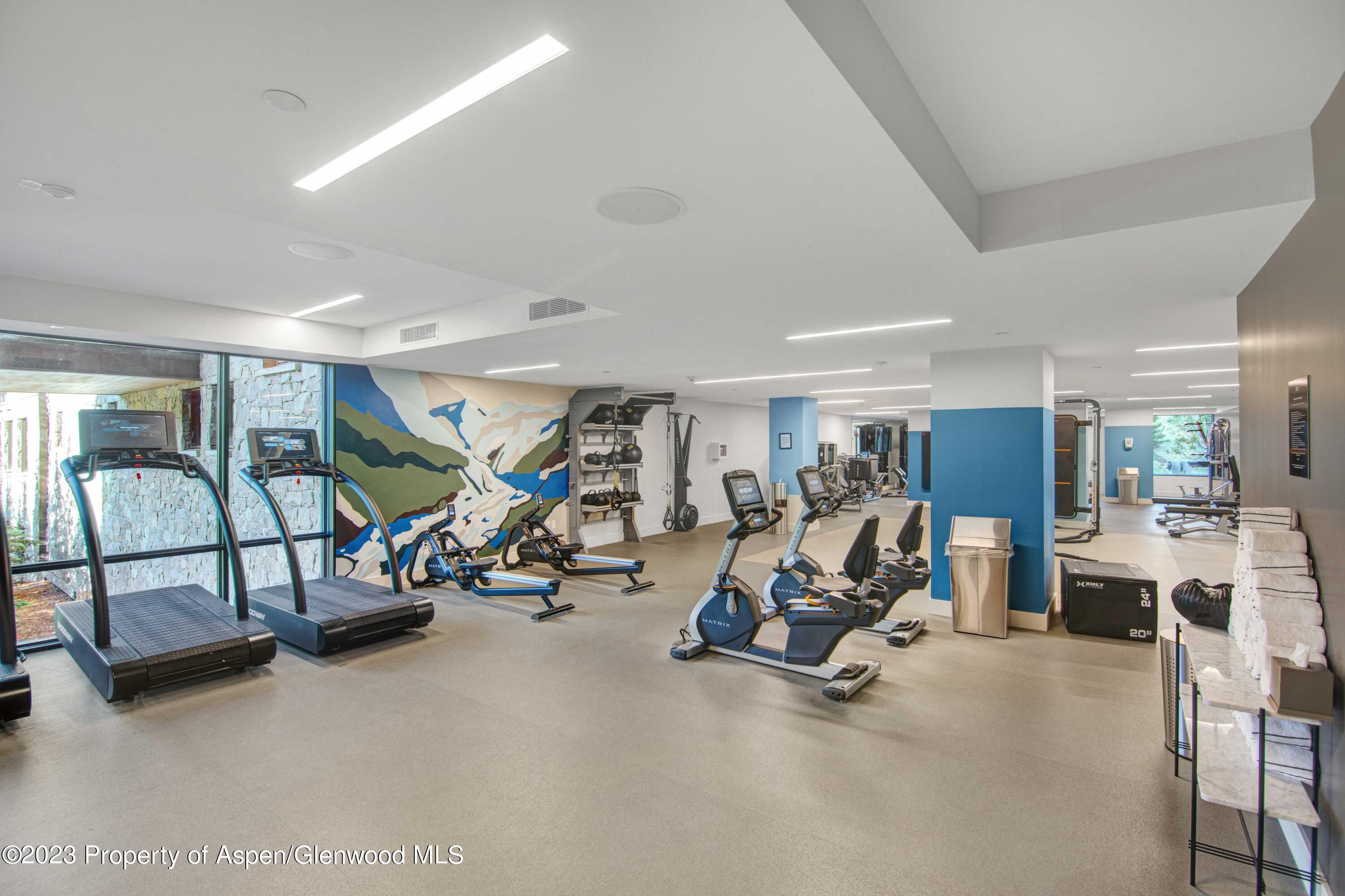 119 Wood Road Snowmass Village CO 81615