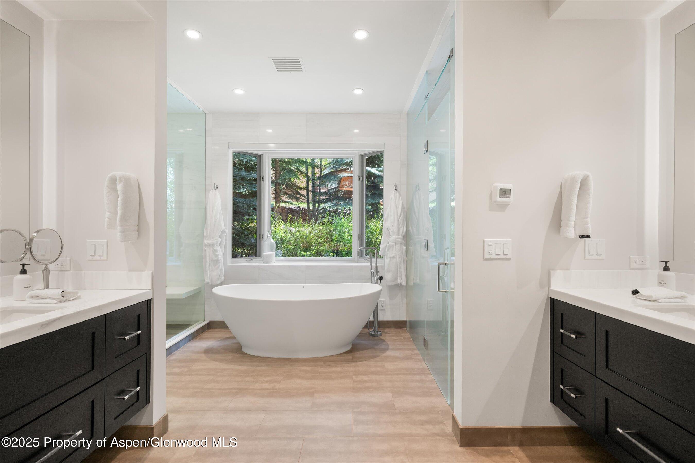 971 Ute Avenue Aspen CO 81611