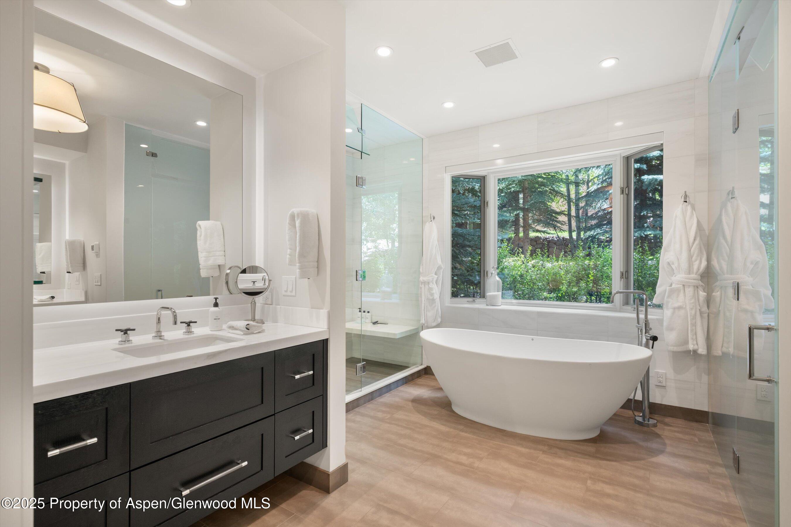 971 Ute Avenue Aspen CO 81611