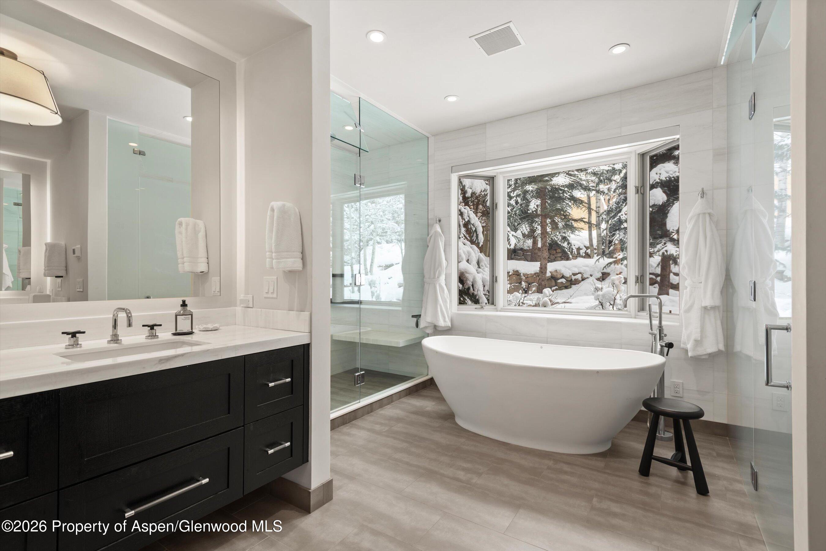971 Ute Avenue Aspen CO 81611
