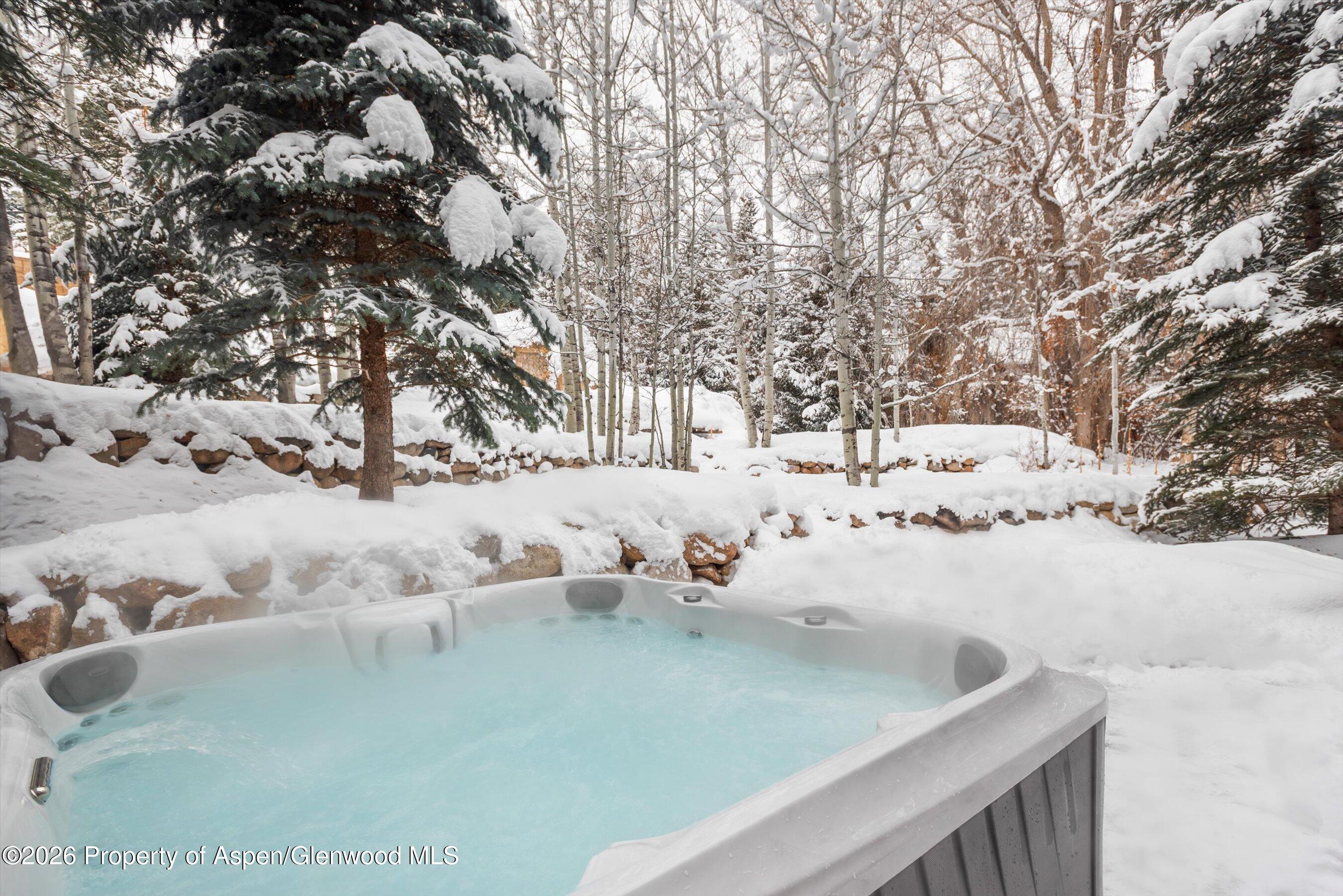 971 Ute Avenue Aspen CO 81611