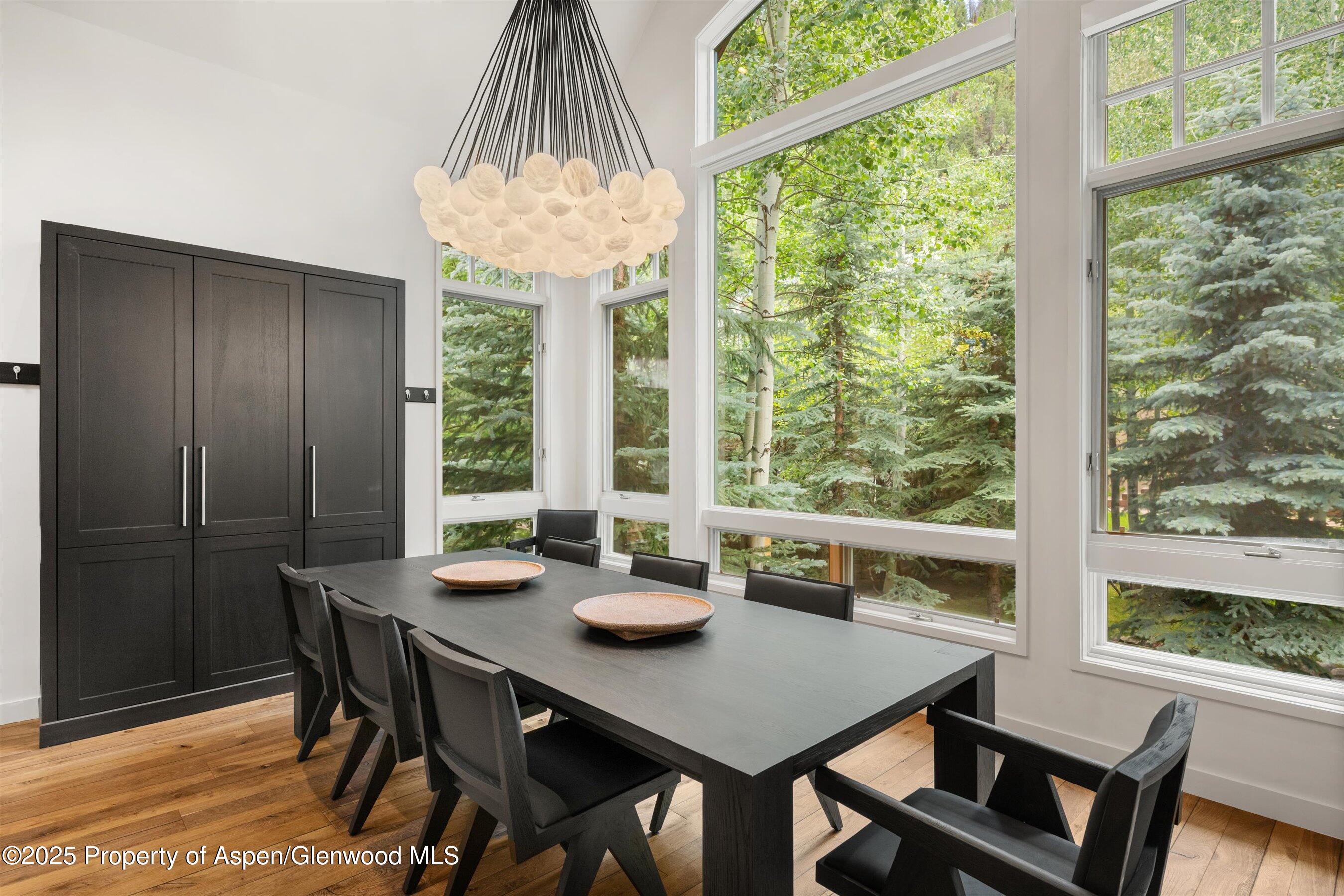 971 Ute Avenue Aspen CO 81611
