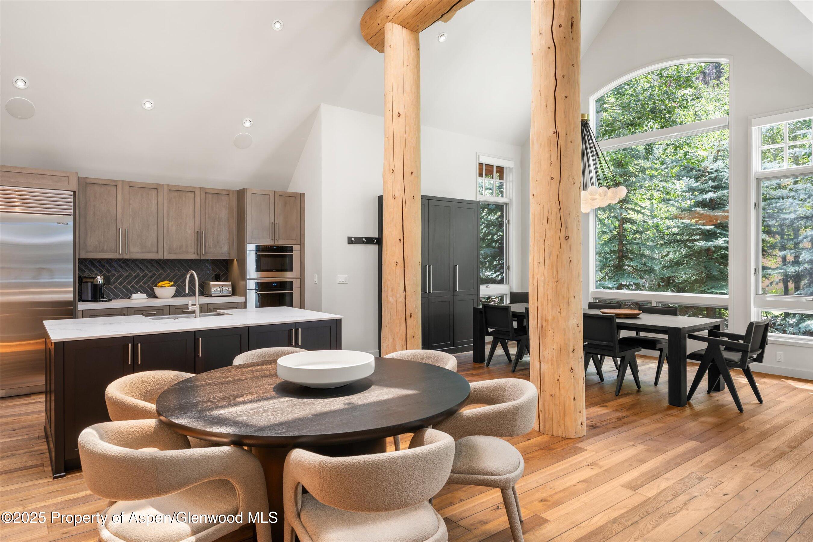 971 Ute Avenue Aspen CO 81611