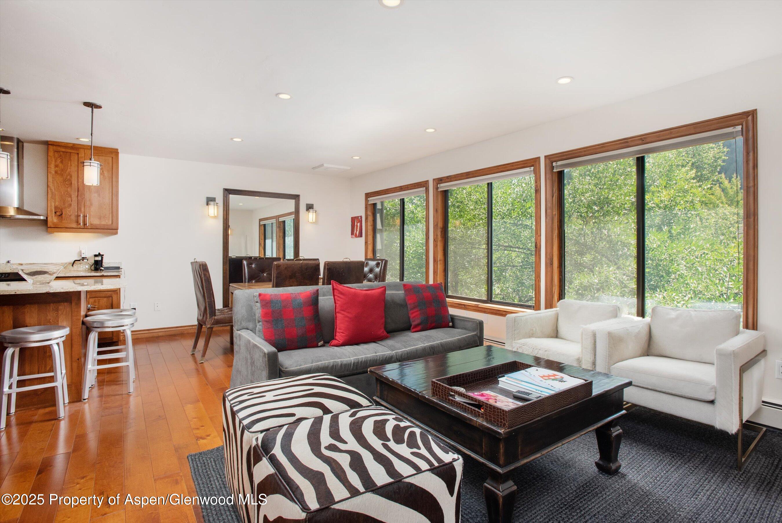 725 E Main Street Aspen CO 81611