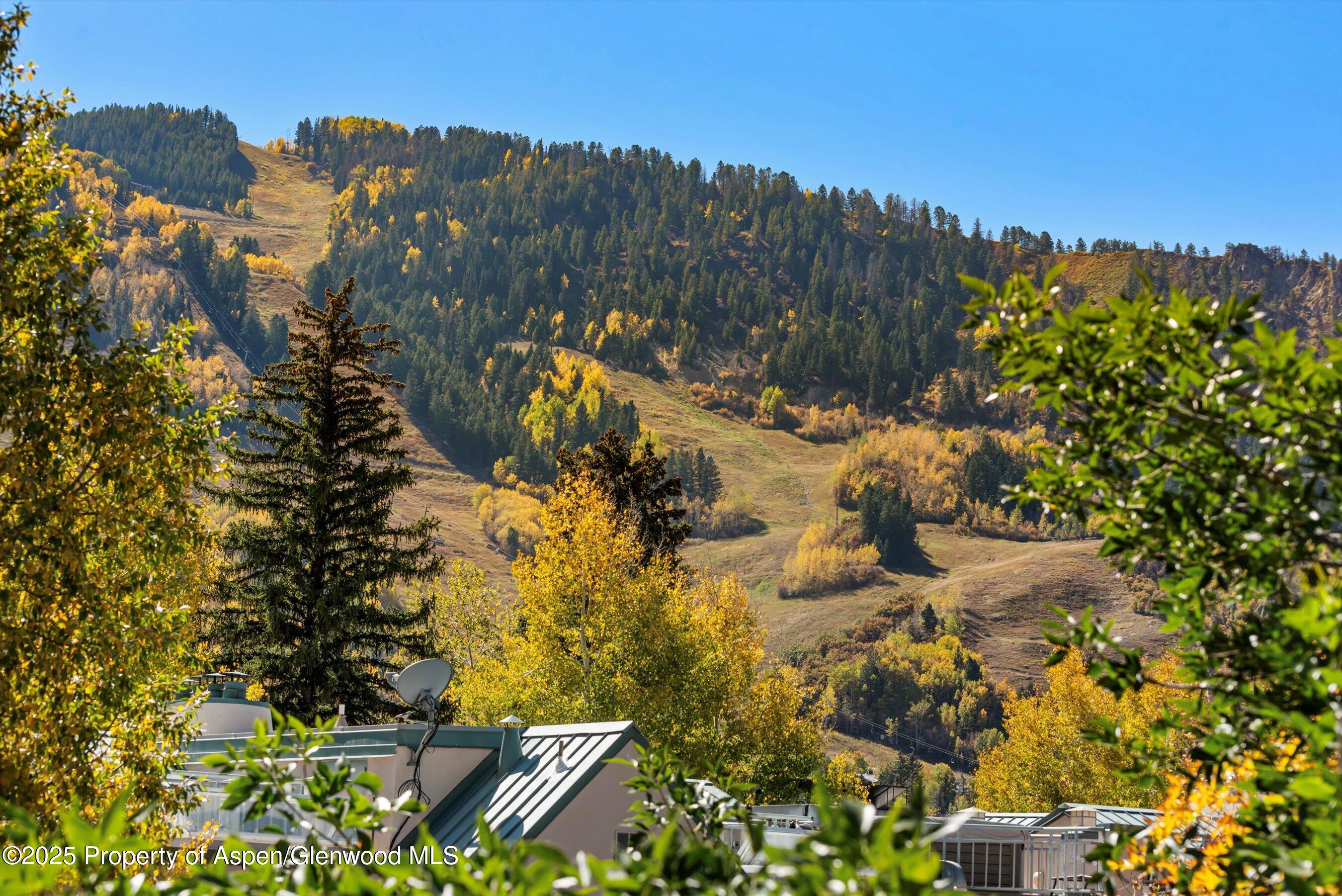 725 E Main Street Aspen CO 81611