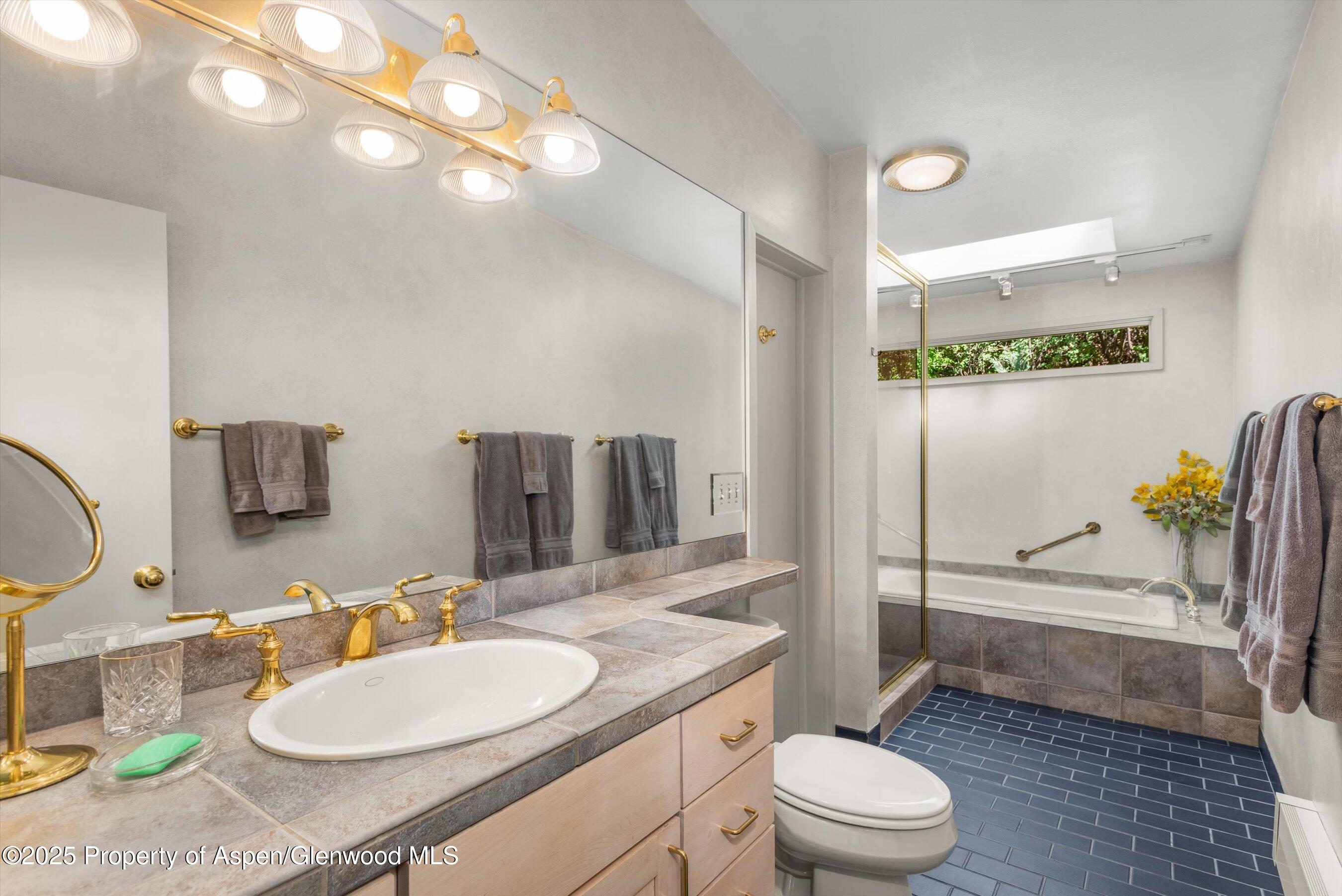 15 Terrace Drive Snowmass Village CO 81615