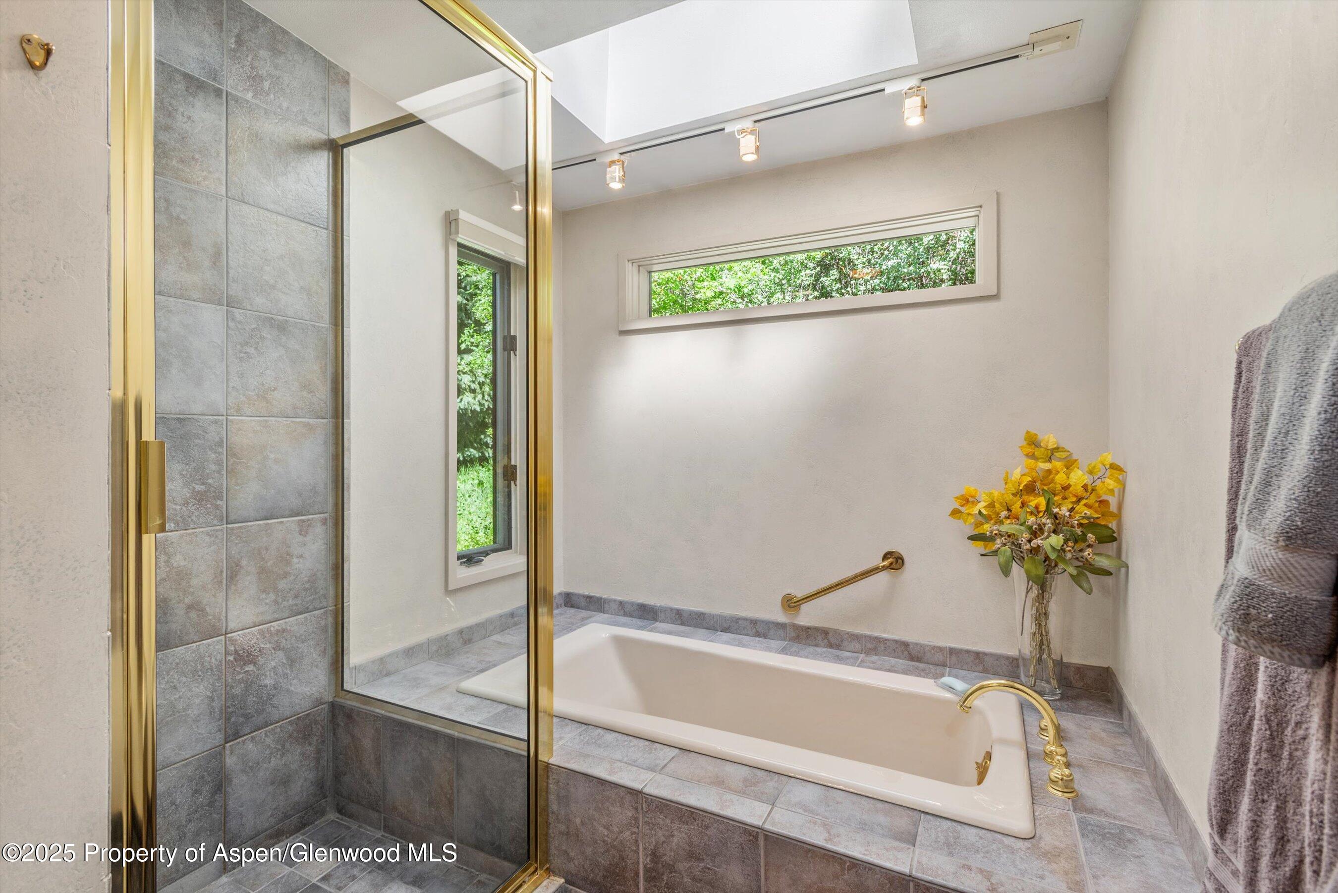 15 Terrace Drive Snowmass Village CO 81615