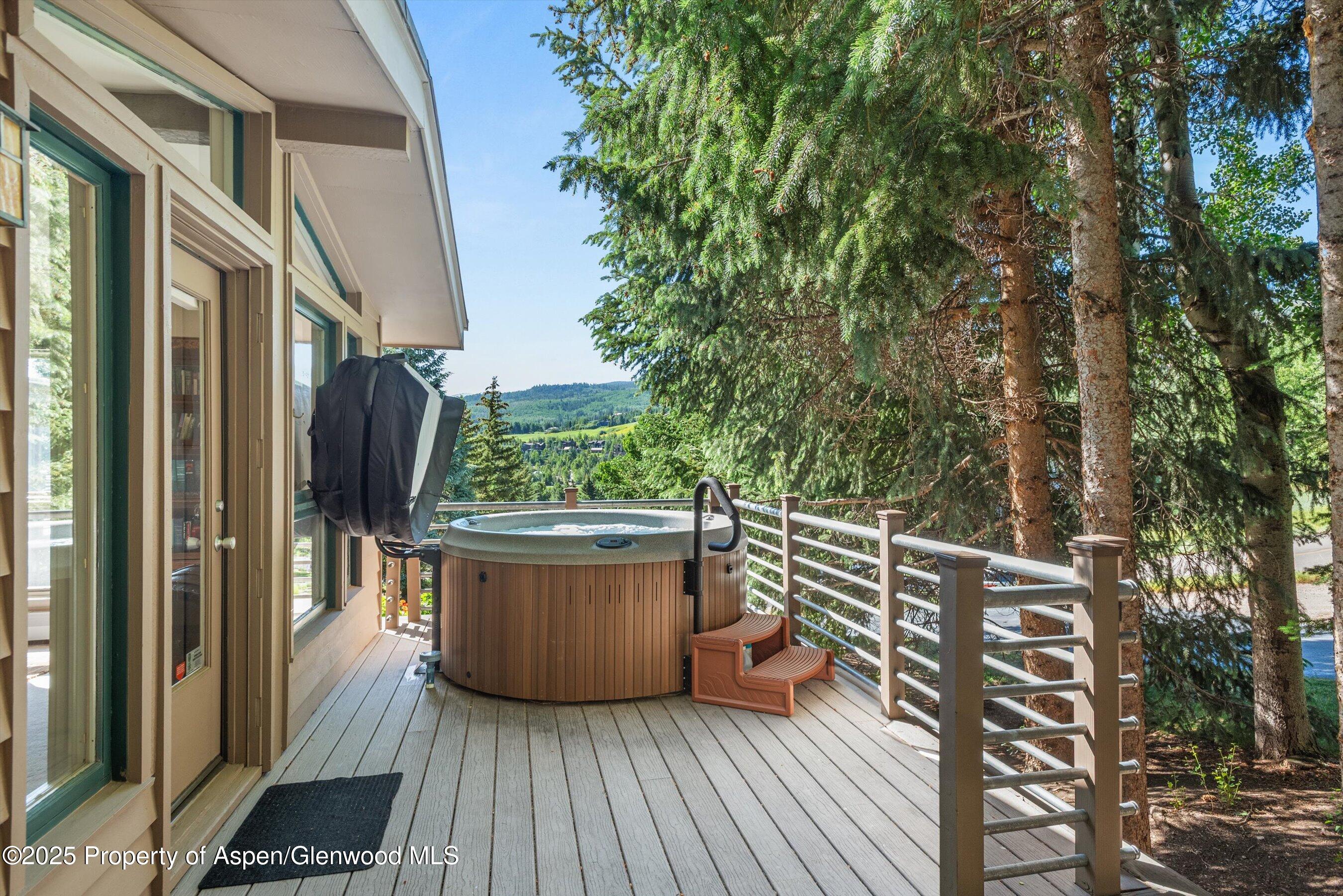 15 Terrace Drive Snowmass Village CO 81615