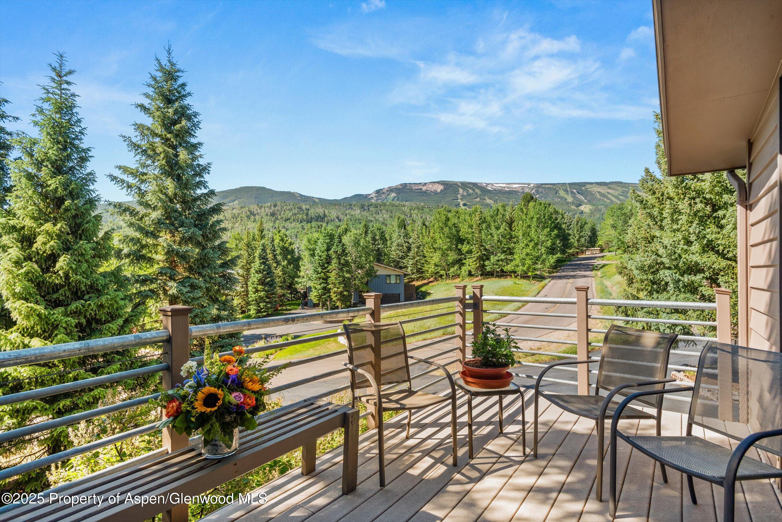 15 Terrace Drive Snowmass Village CO 81615