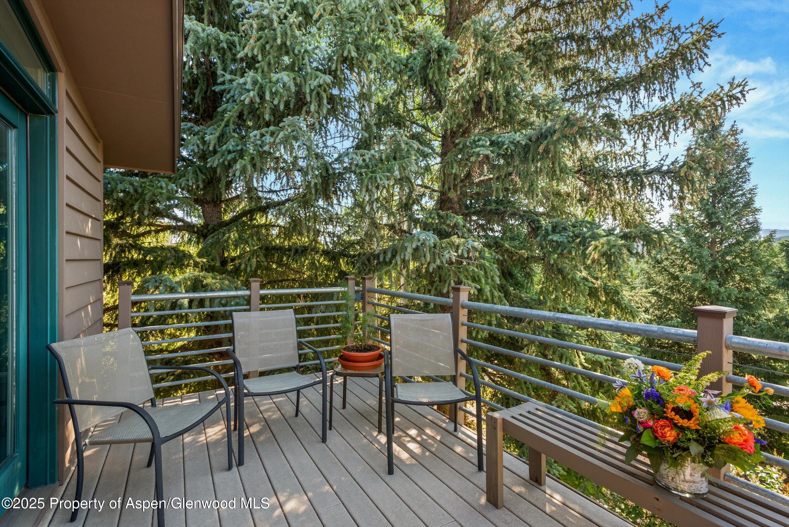 15 Terrace Drive Snowmass Village CO 81615