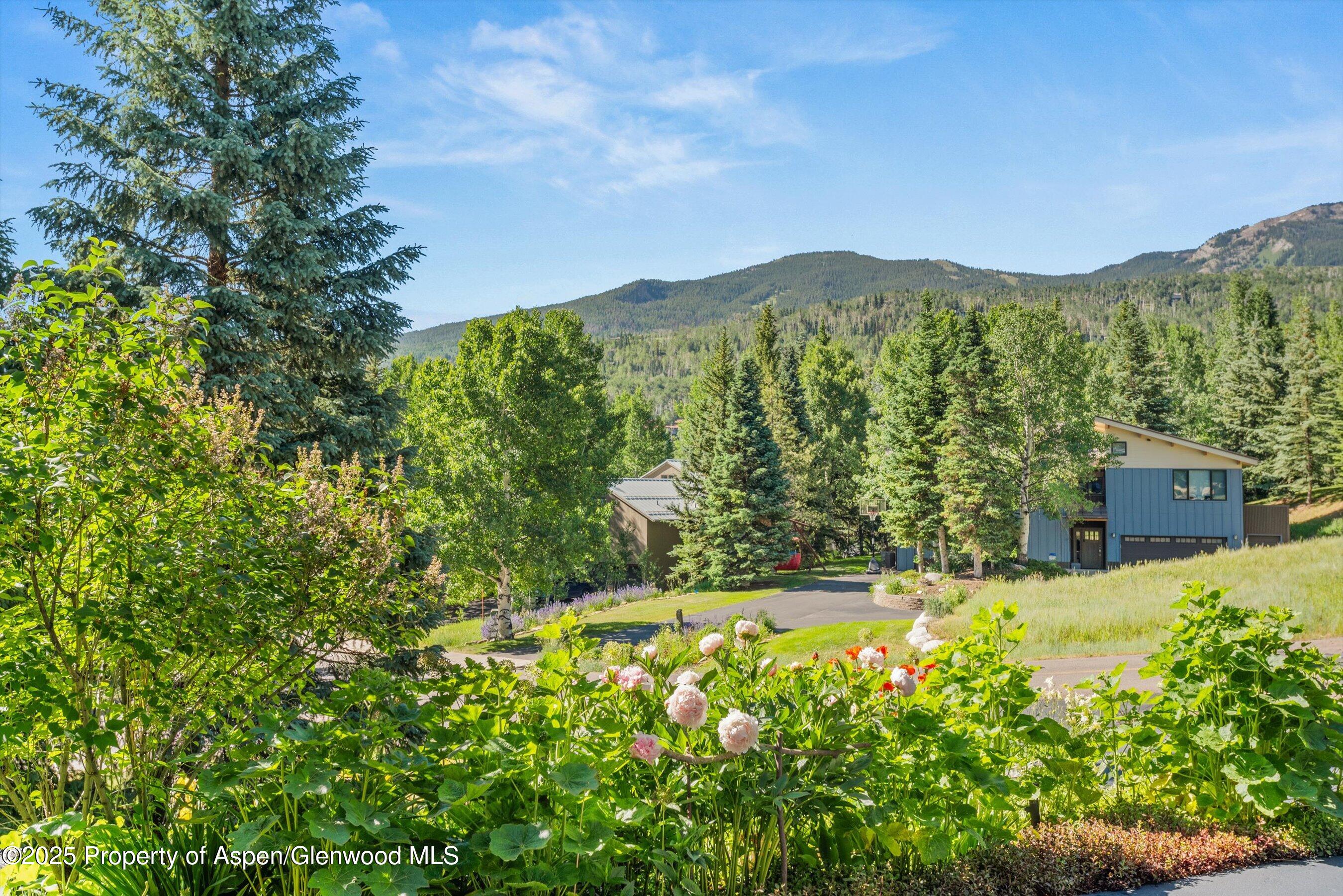 15 Terrace Drive Snowmass Village CO 81615