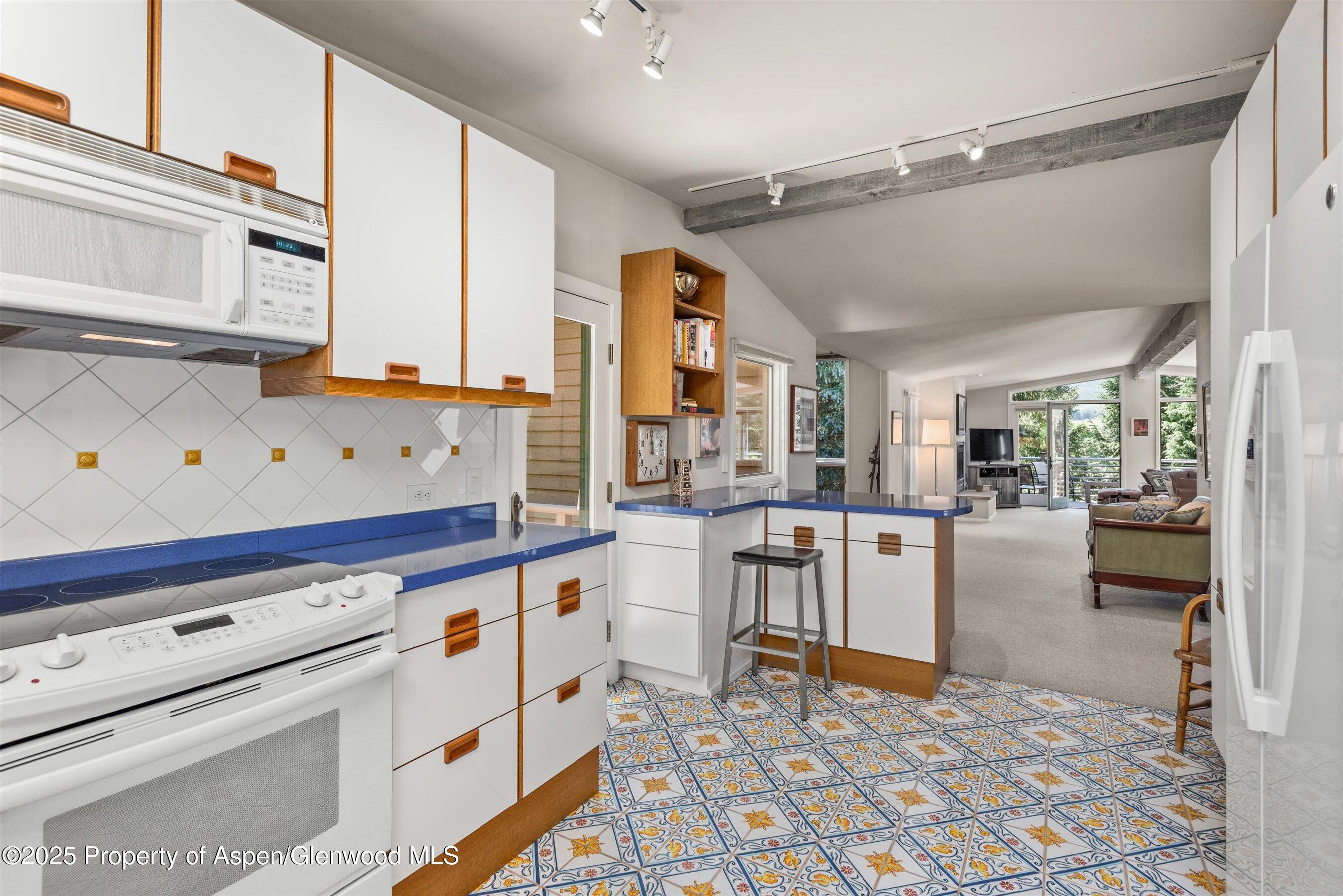 15 Terrace Drive Snowmass Village CO 81615