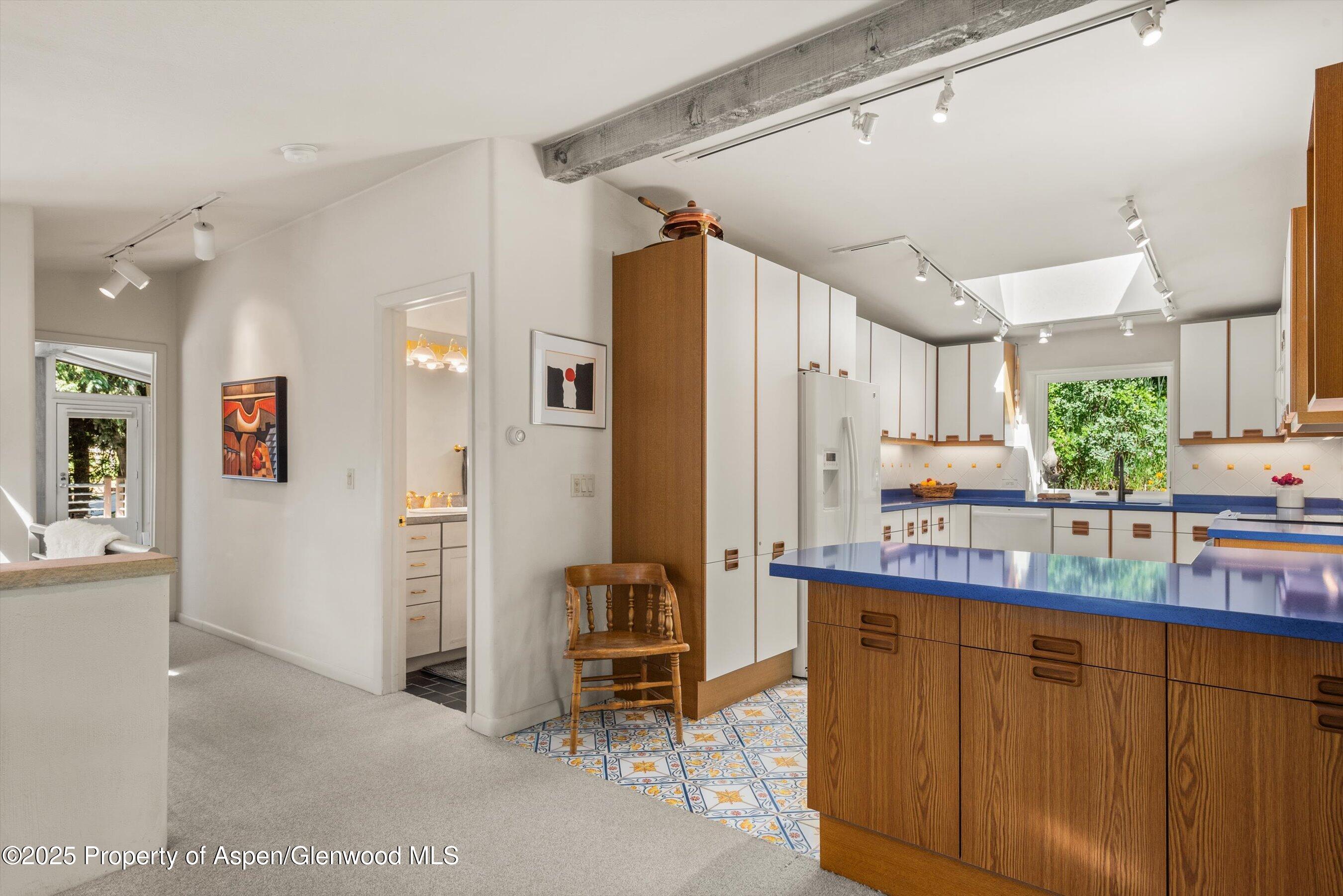 15 Terrace Drive Snowmass Village CO 81615