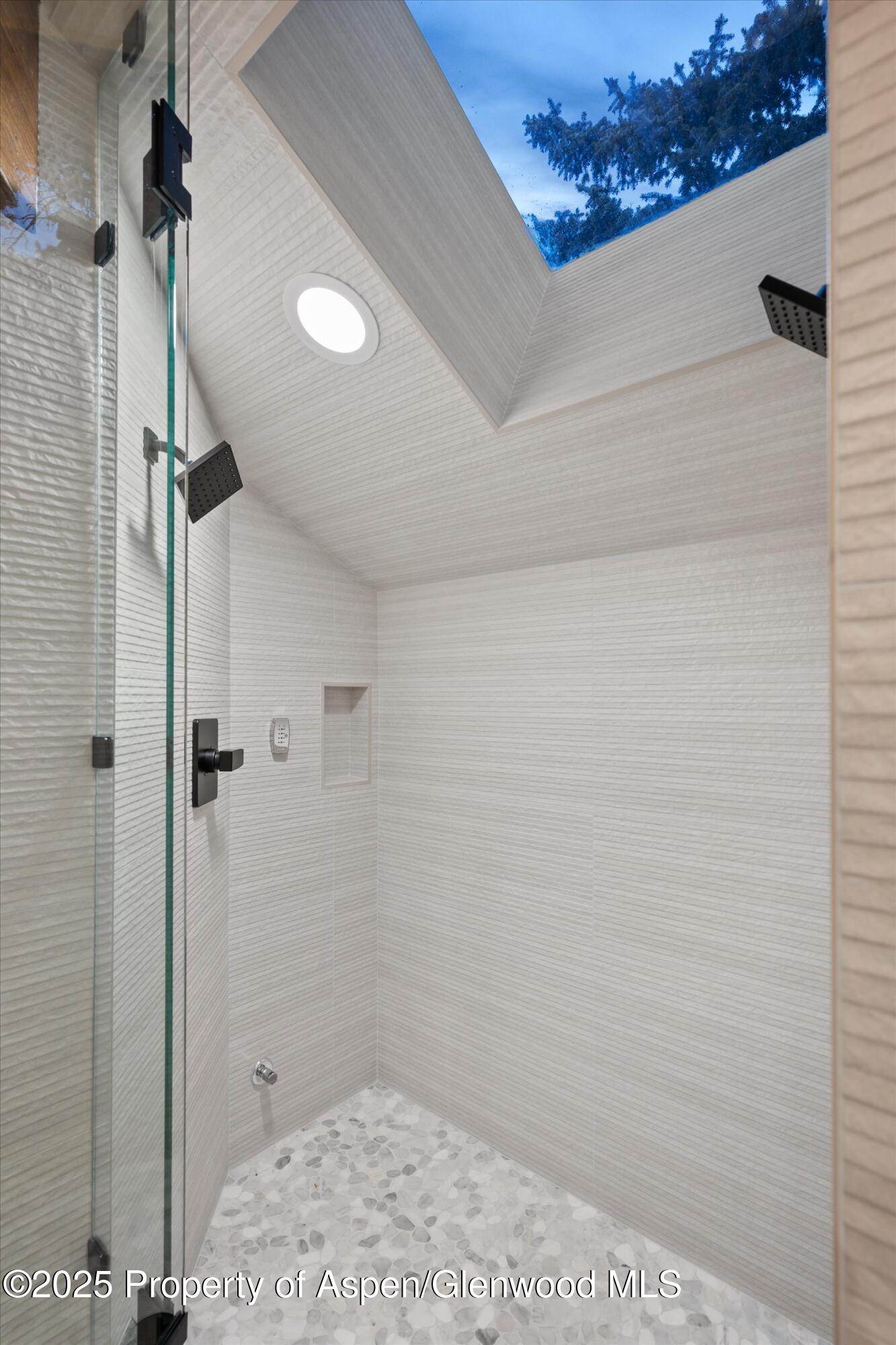 75 Bennett Court Aspen CO 81611