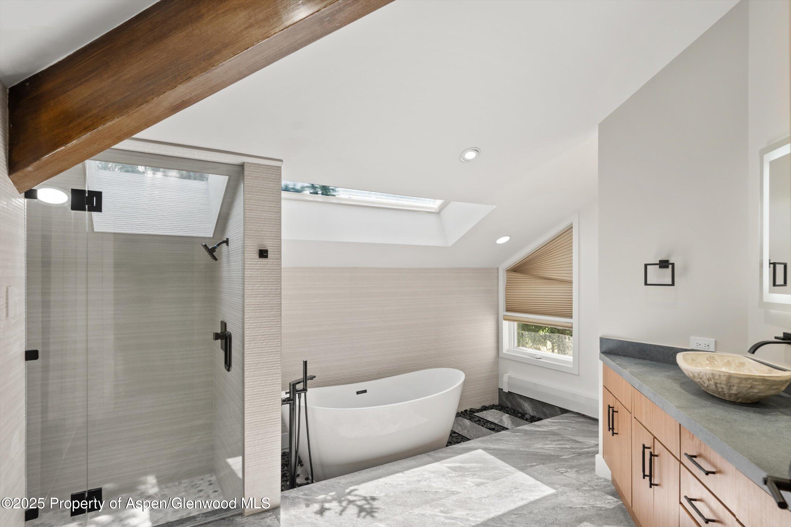 75 Bennett Court Aspen CO 81611