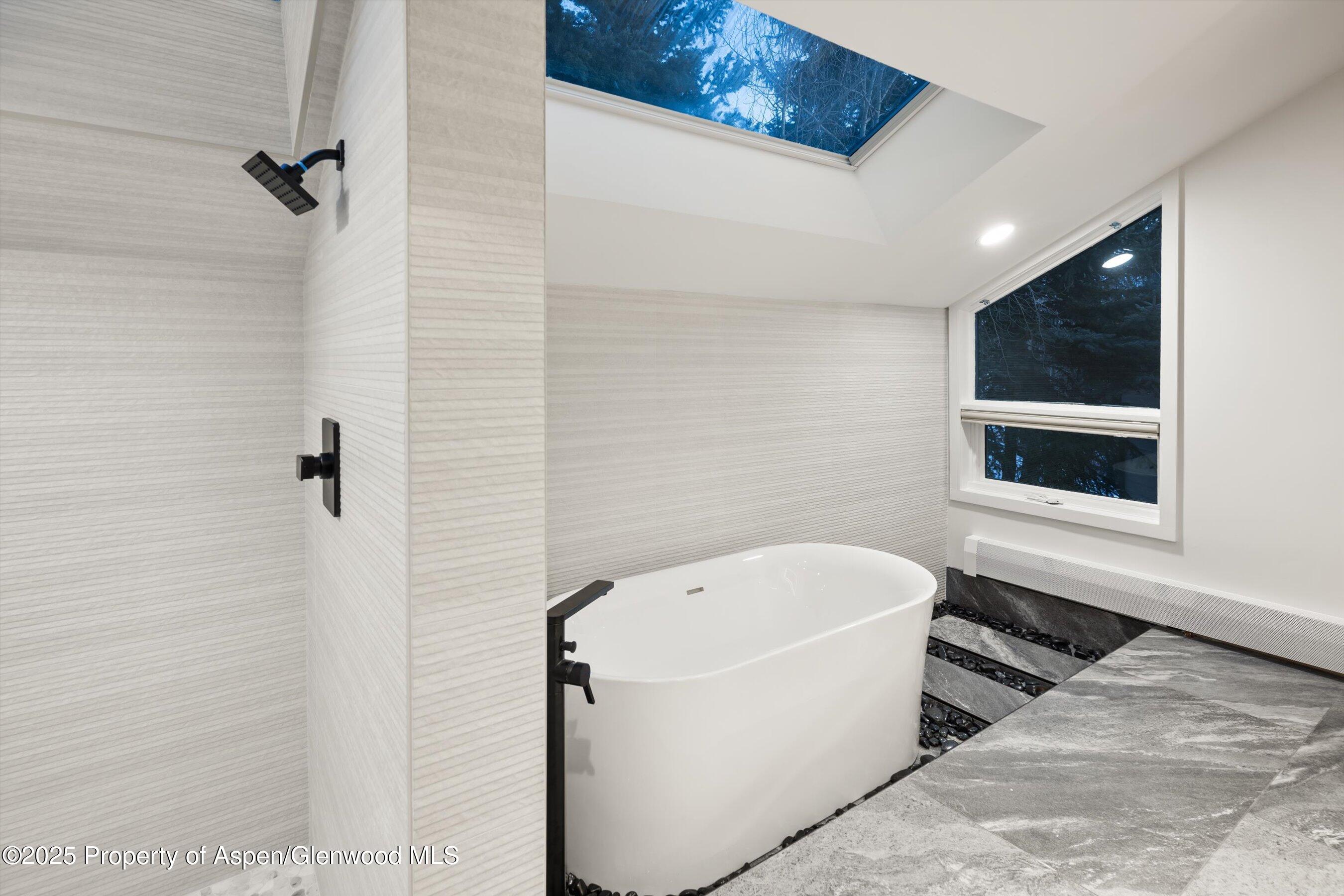 75 Bennett Court Aspen CO 81611