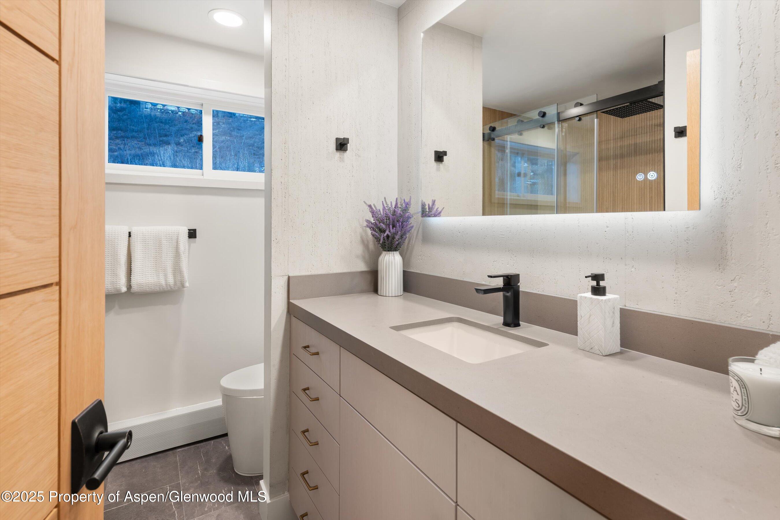 75 Bennett Court Aspen CO 81611