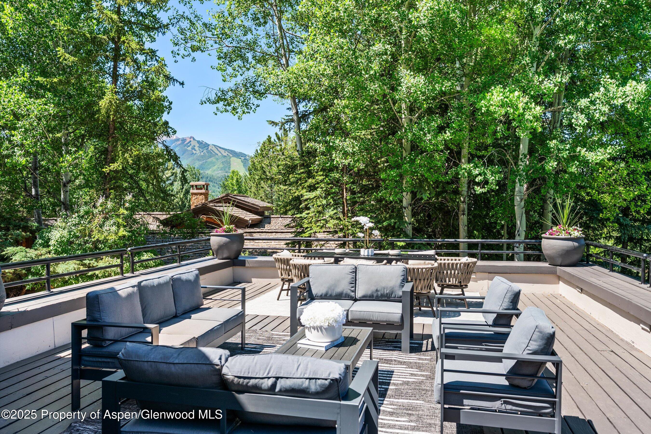 75 Bennett Court Aspen CO 81611