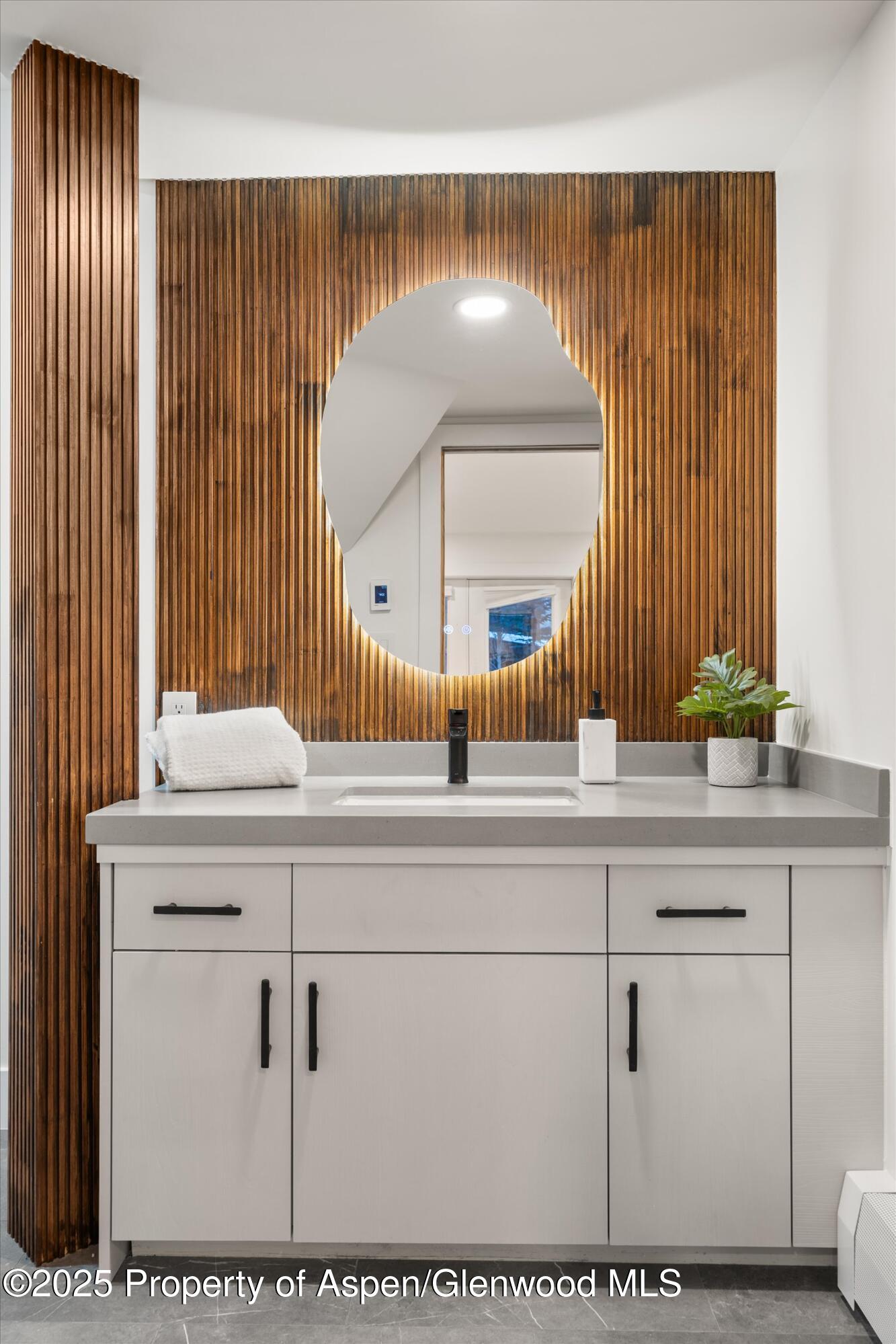 75 Bennett Court Aspen CO 81611