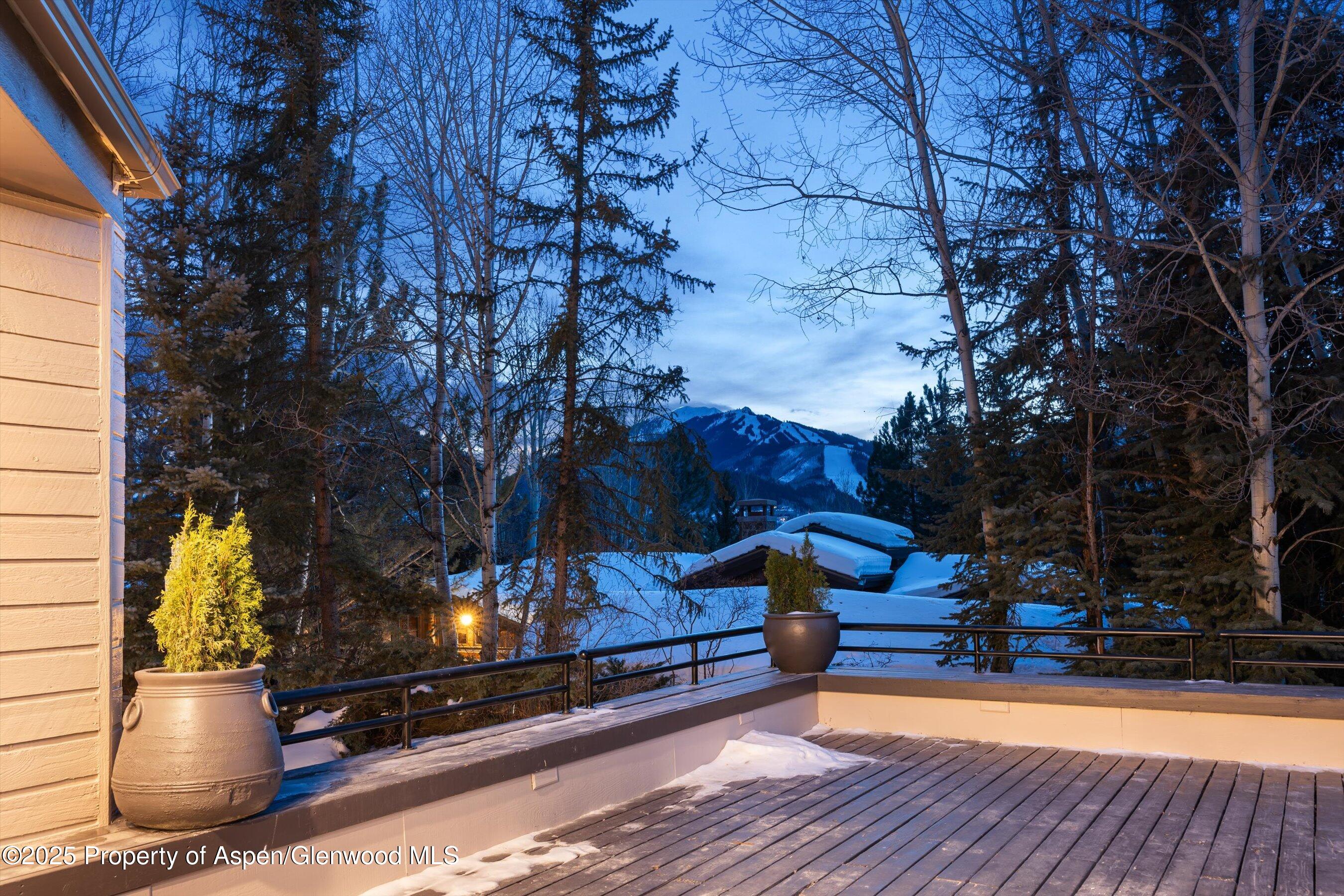 75 Bennett Court Aspen CO 81611