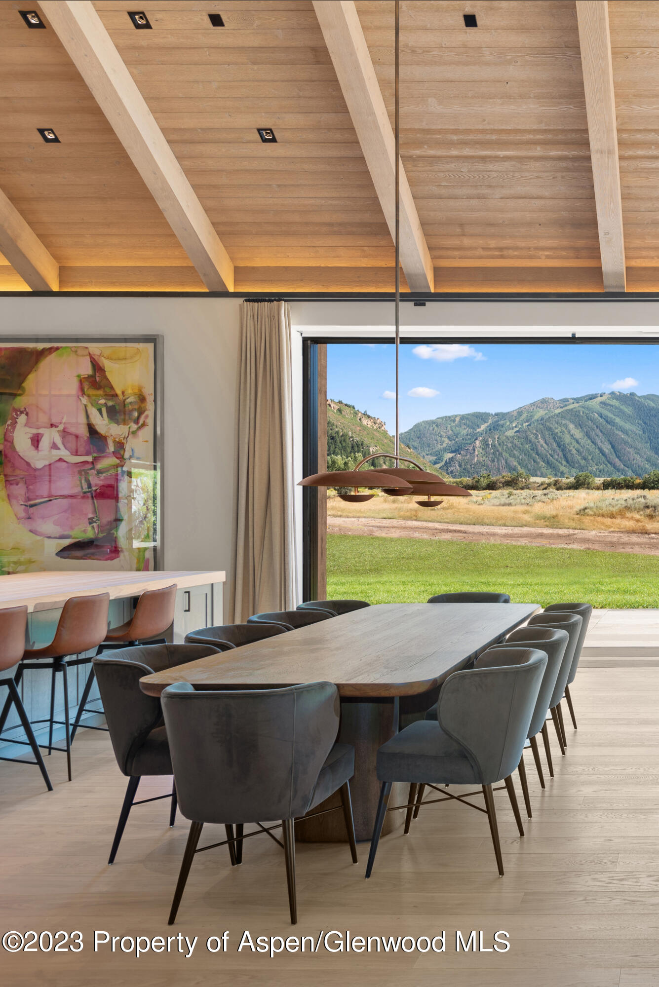 245 Slalom Path Aspen CO 81611