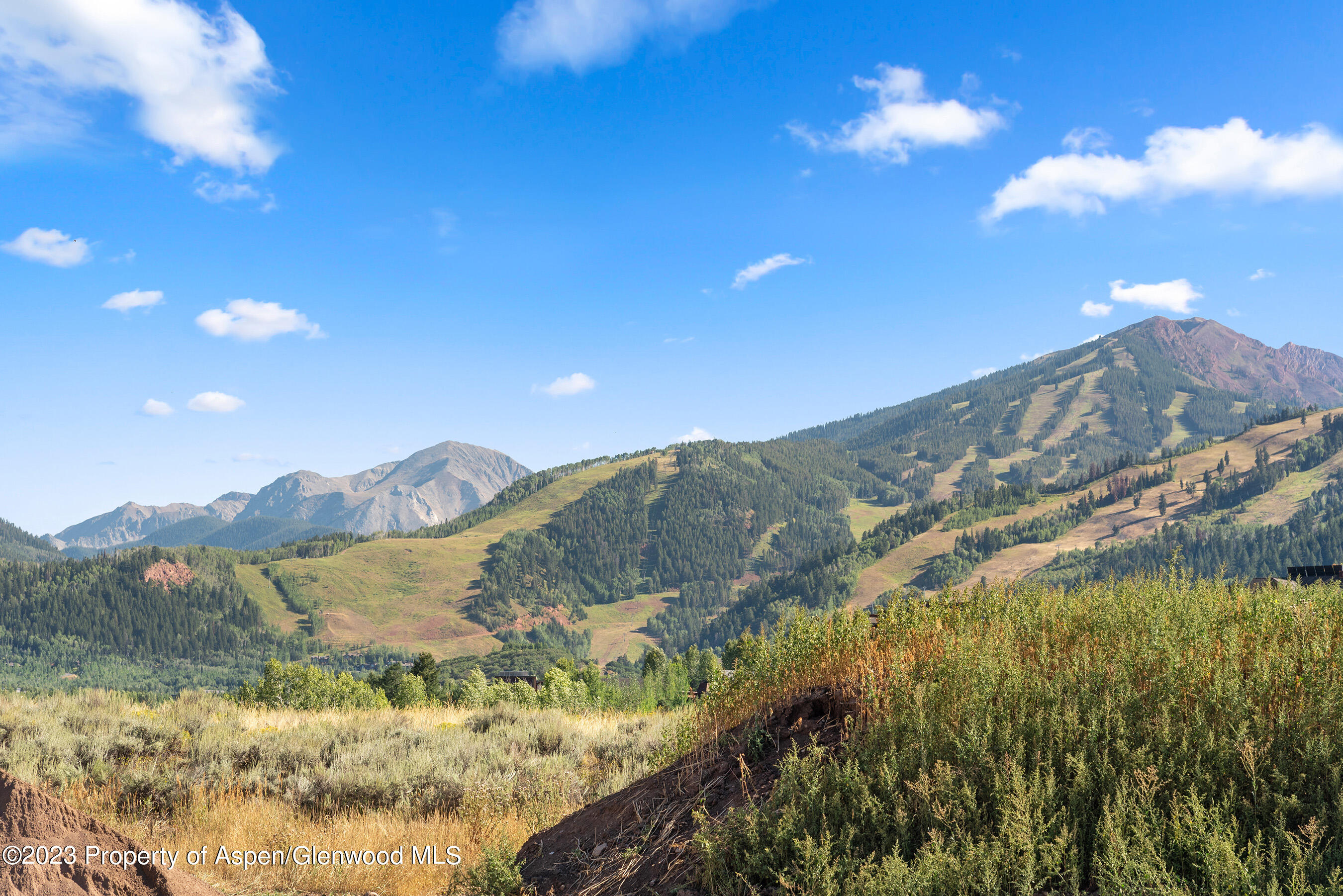 245 Slalom Path Aspen CO 81611
