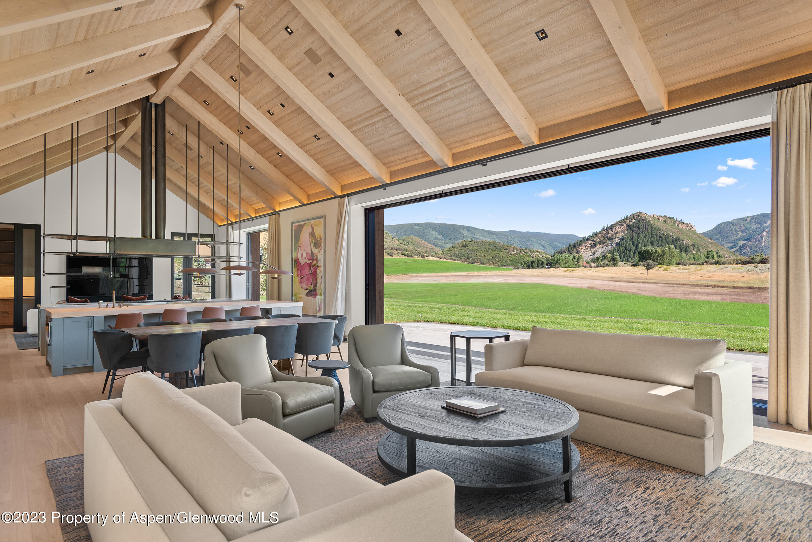 245 Slalom Path Aspen CO 81611