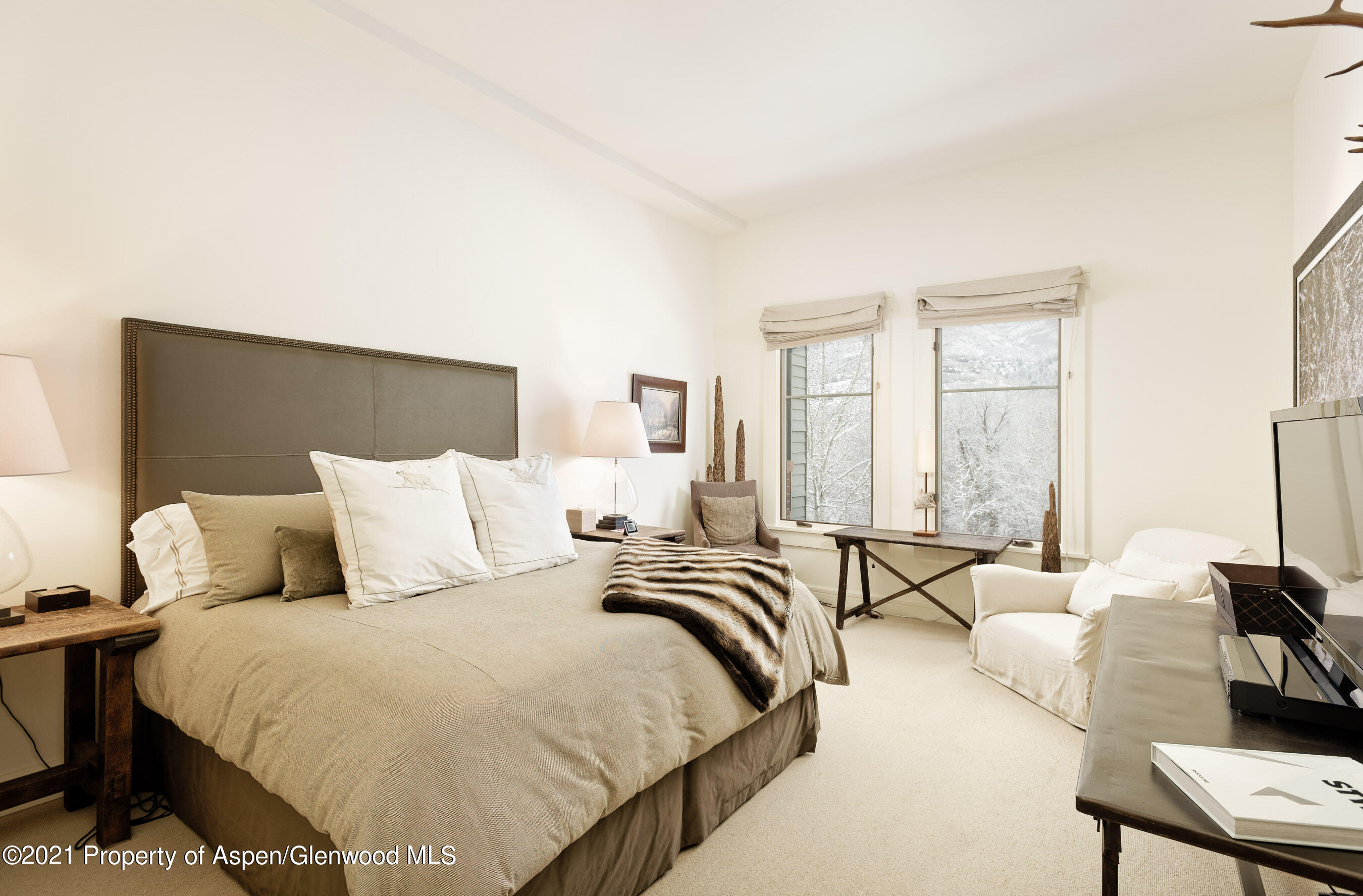 501 Rio Grande Place Aspen CO 81611