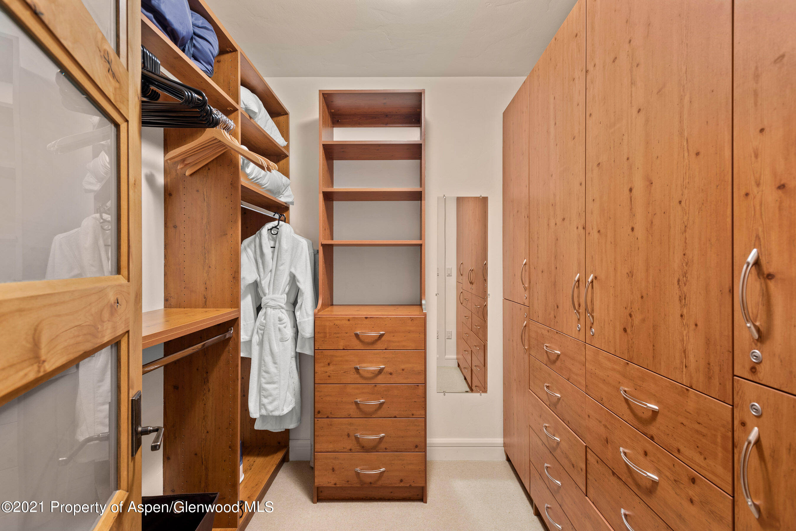 501 Rio Grande Place Aspen CO 81611