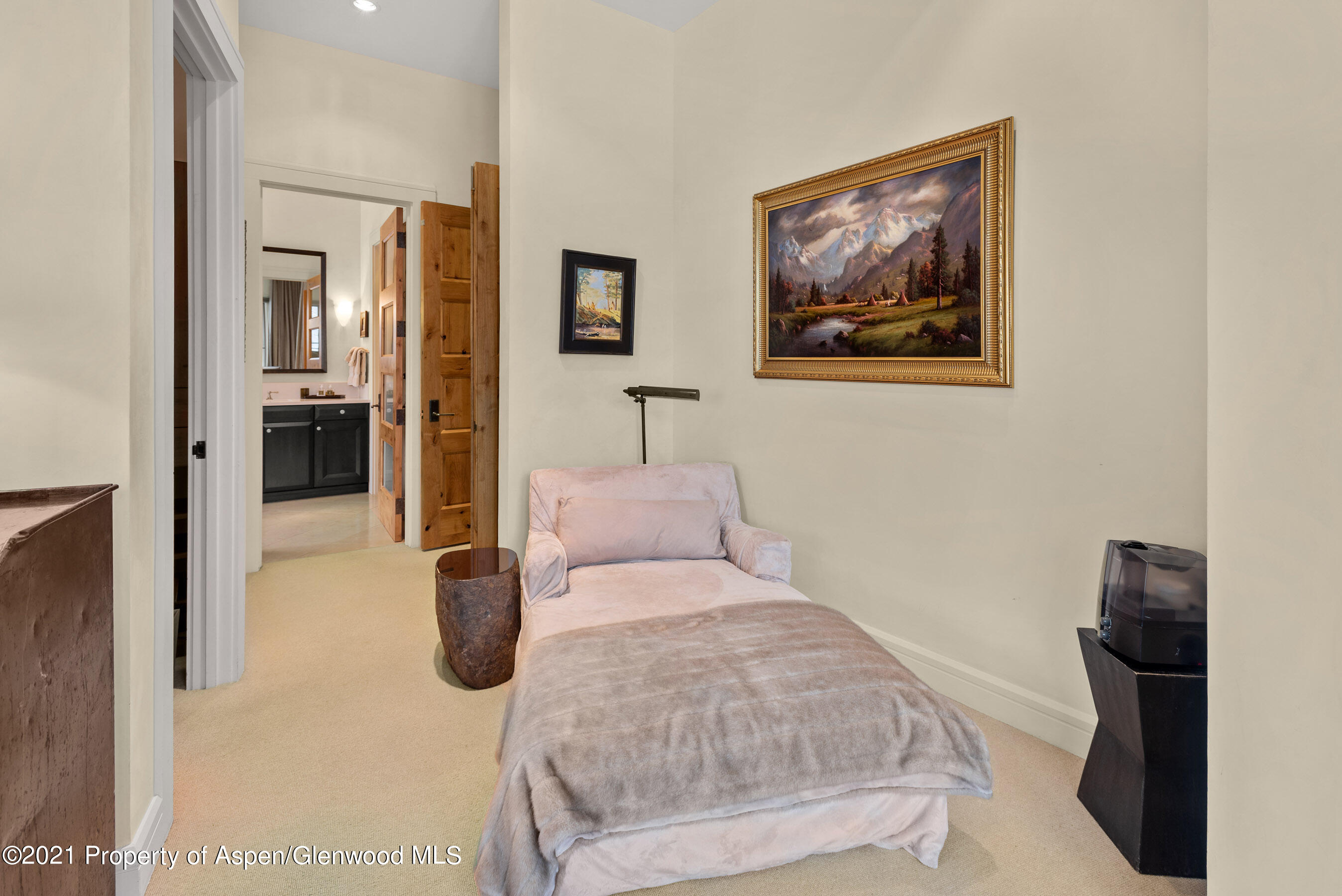 501 Rio Grande Place Aspen CO 81611