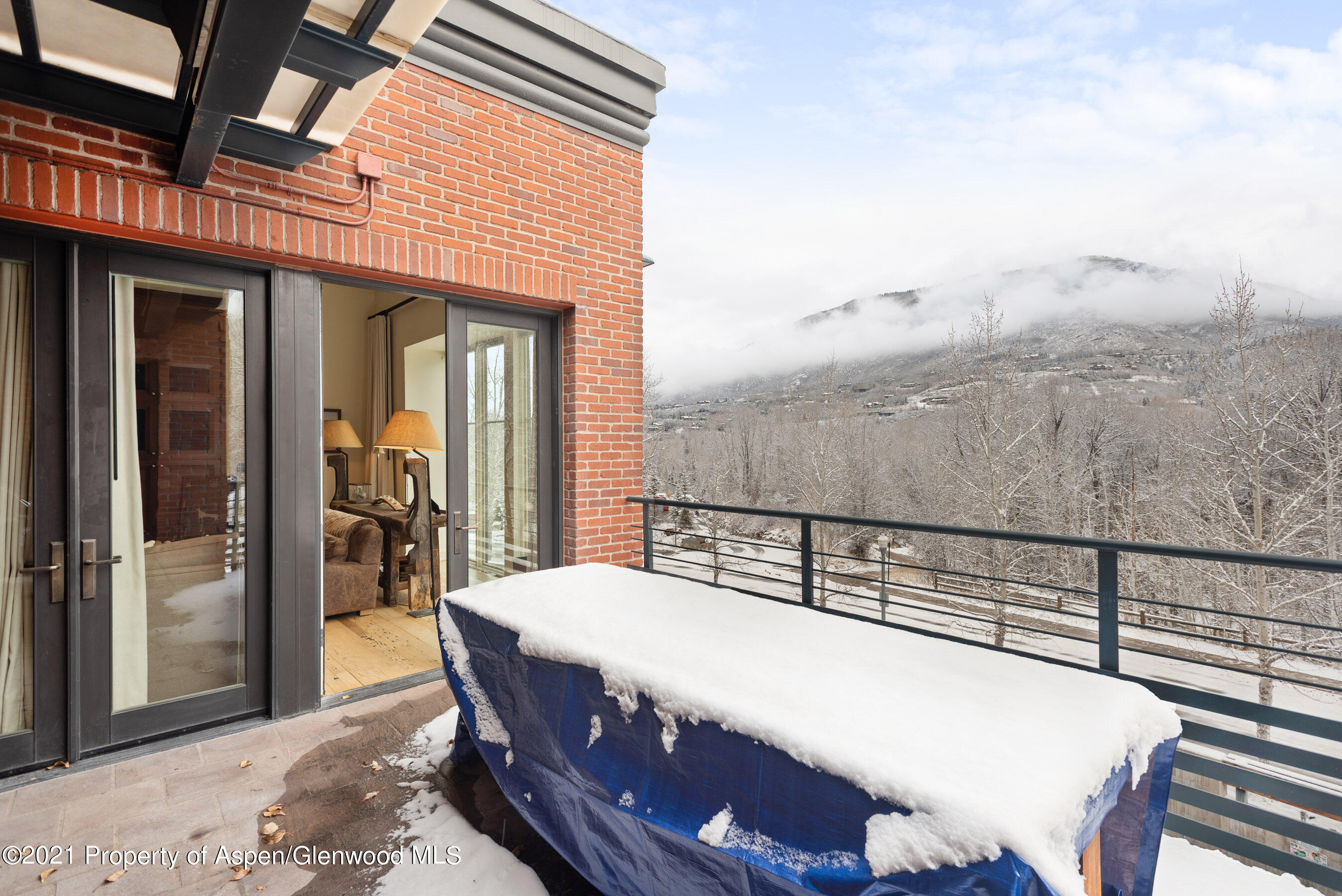 501 Rio Grande Place Aspen CO 81611