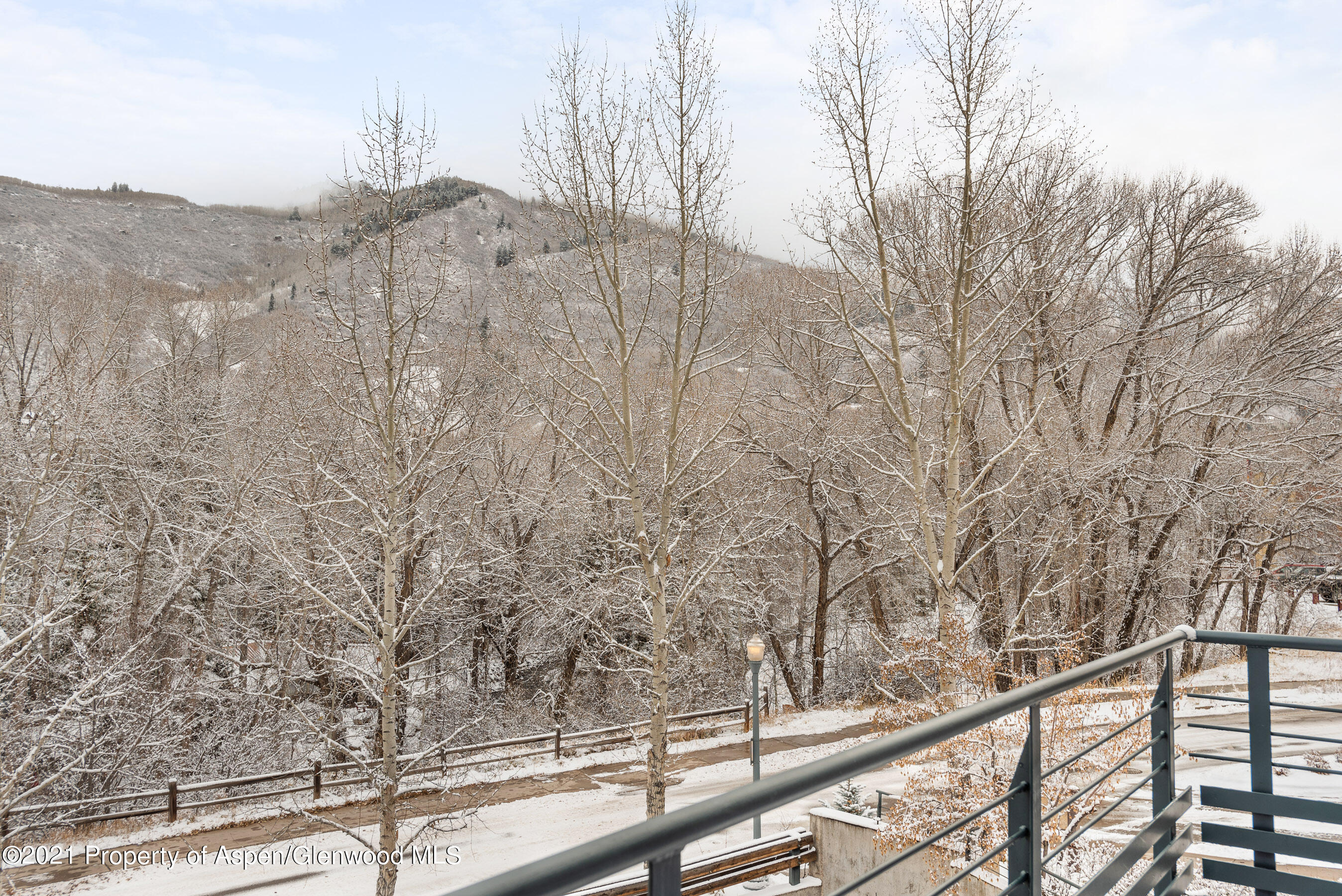 501 Rio Grande Place Aspen CO 81611