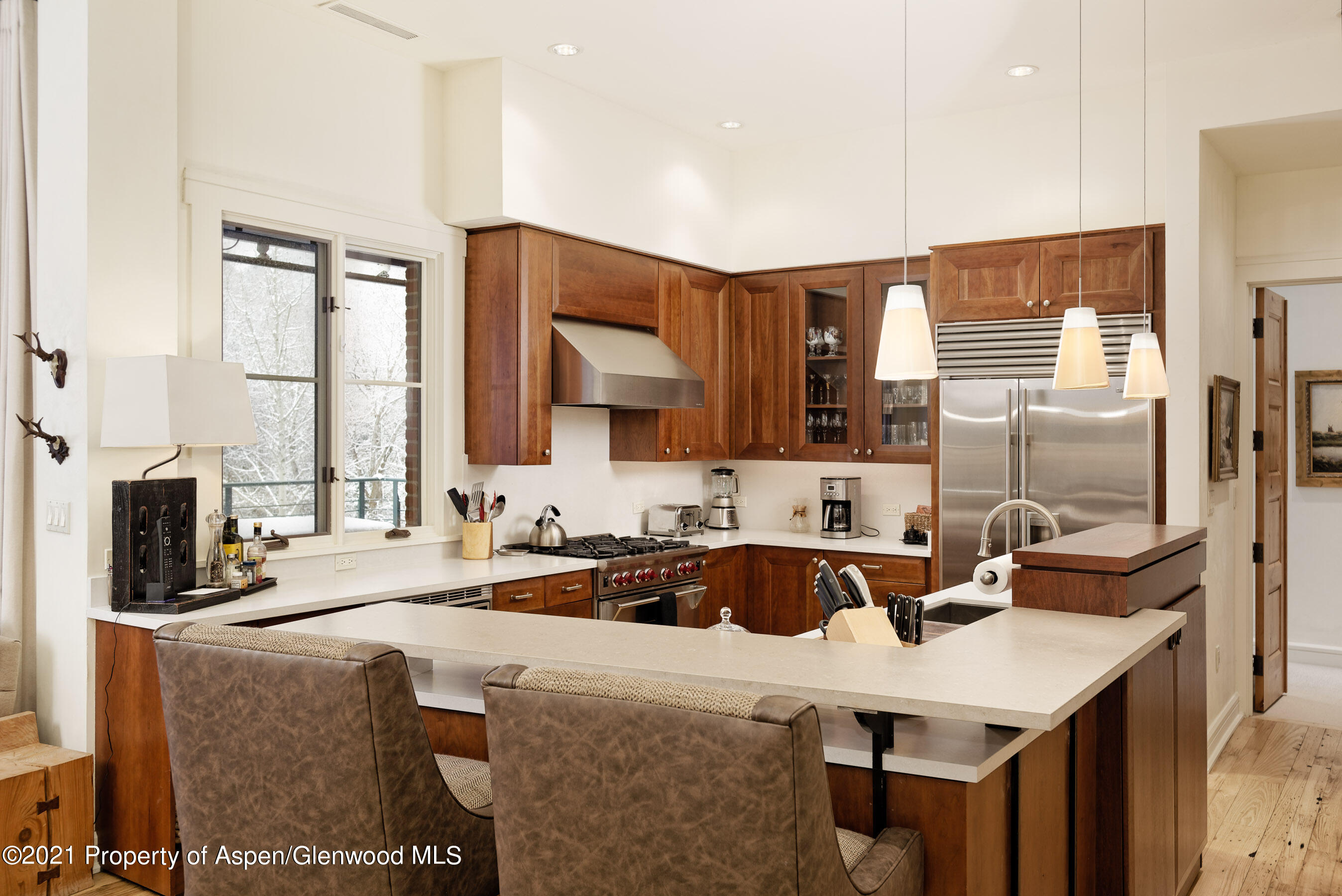 501 Rio Grande Place Aspen CO 81611