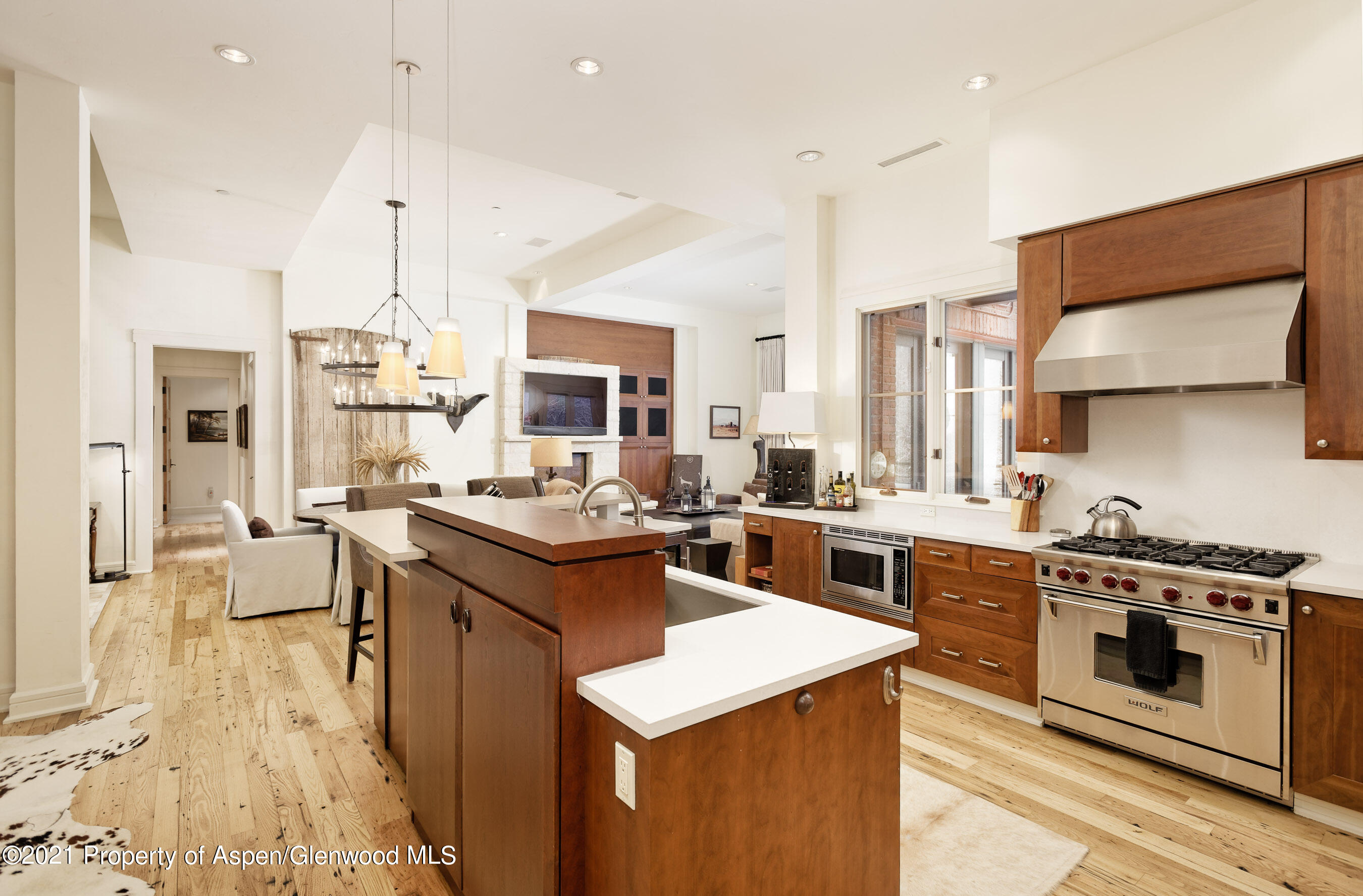 501 Rio Grande Place Aspen CO 81611