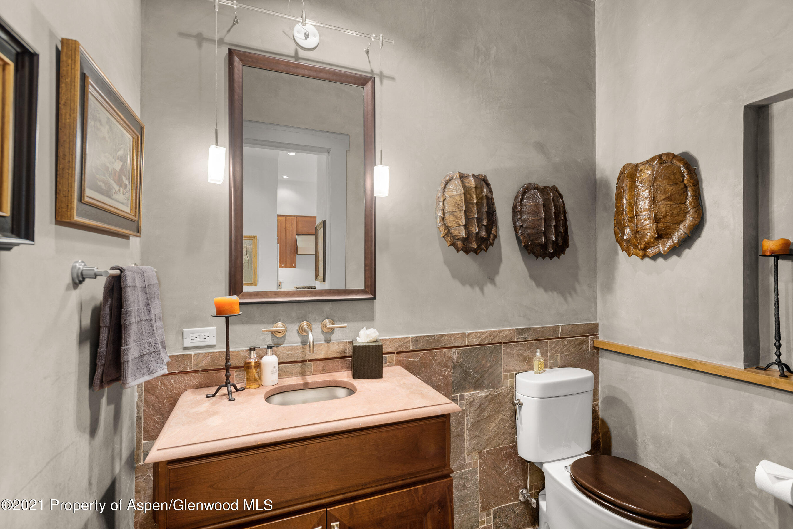 501 Rio Grande Place Aspen CO 81611