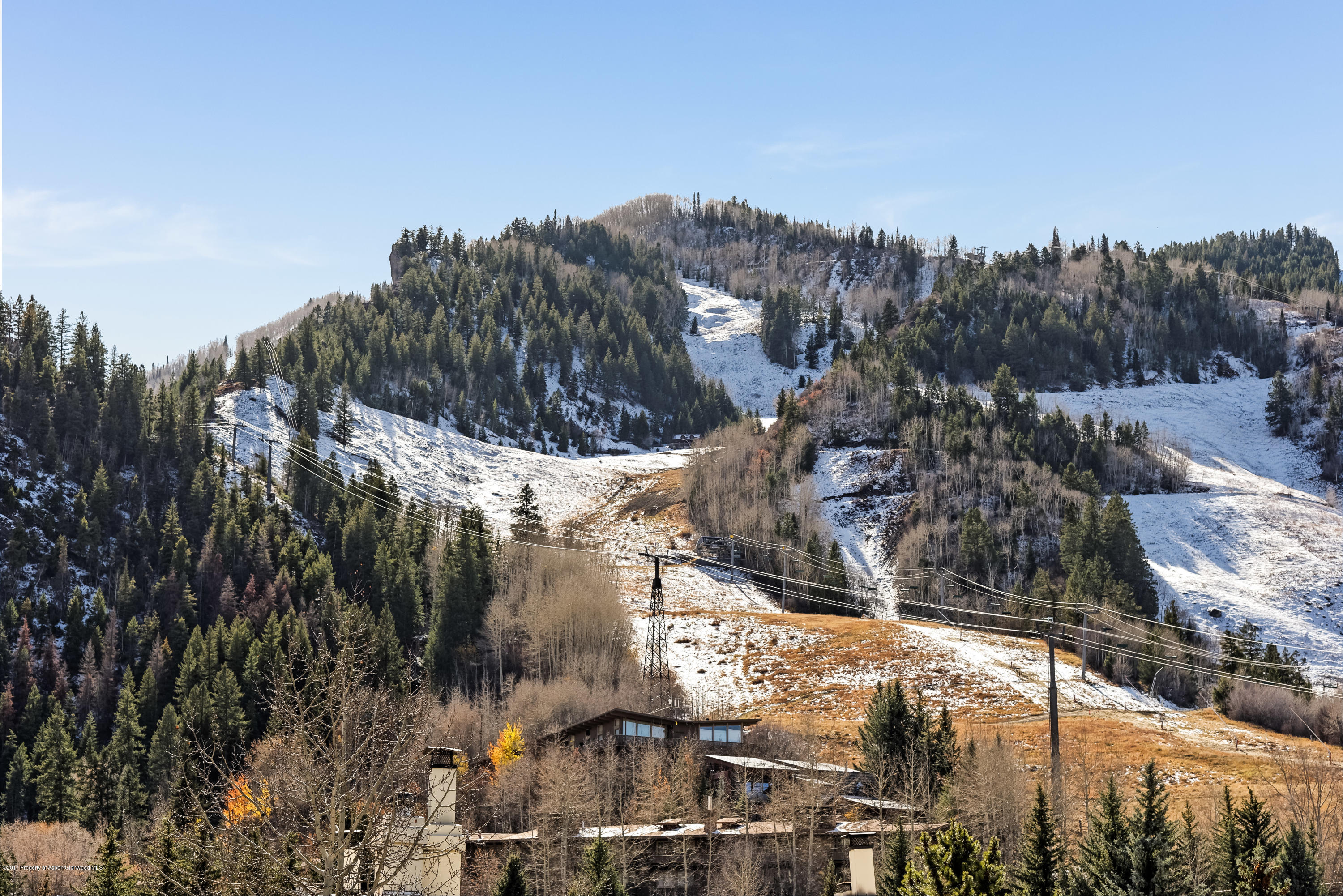 710 E Durant Avenue Aspen CO 81611