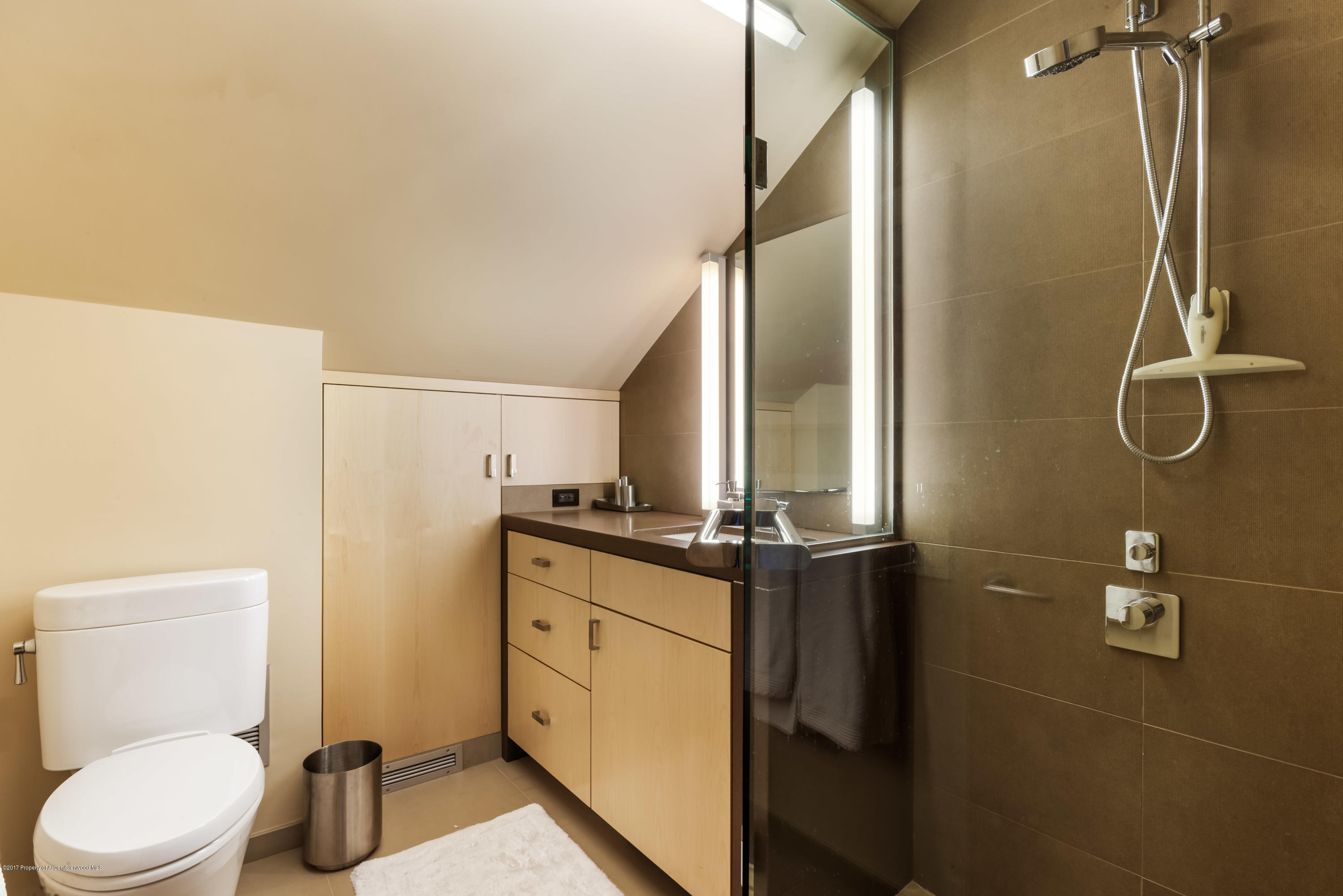 710 E Durant Avenue Aspen CO 81611