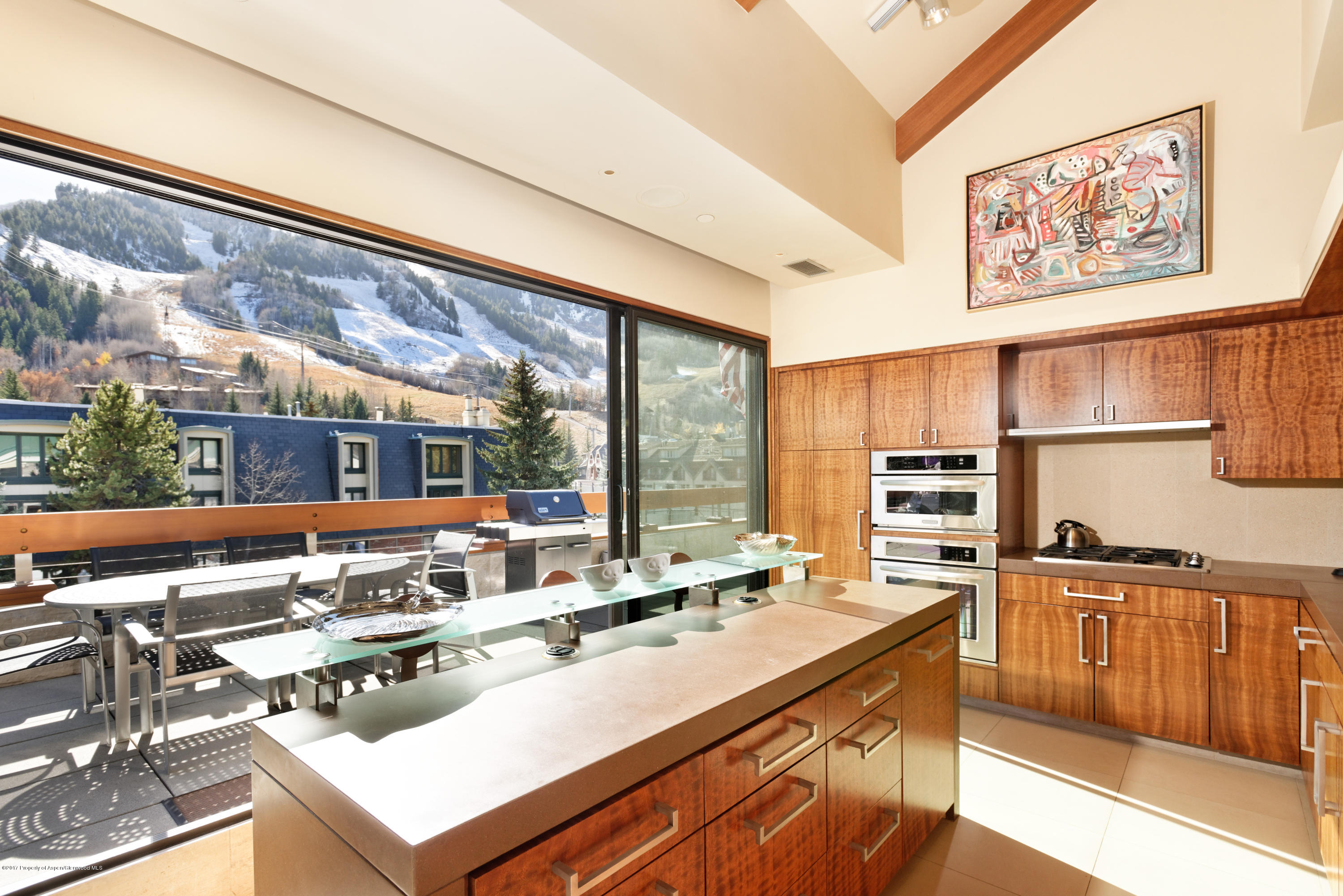 710 E Durant Avenue Aspen CO 81611