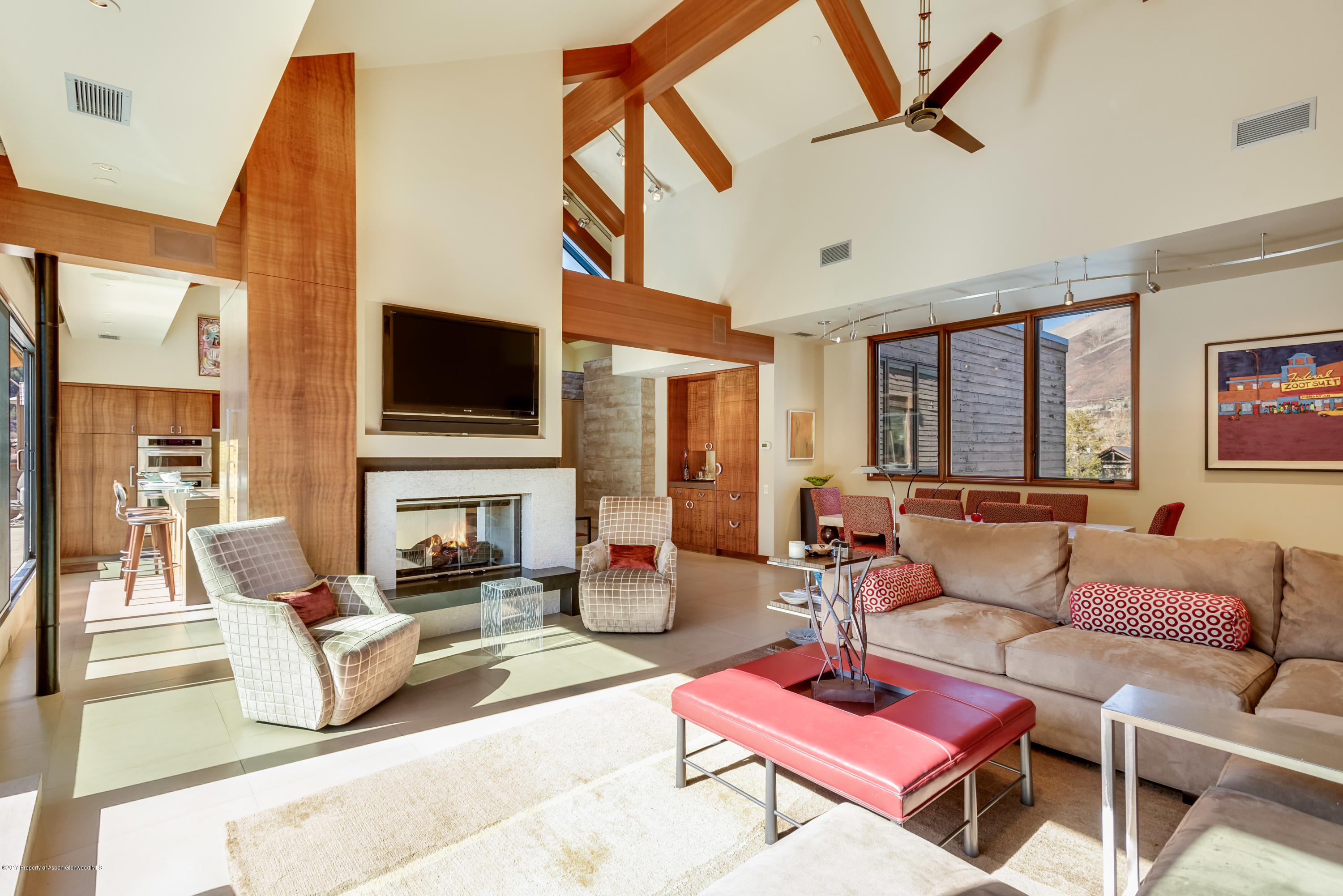 710 E Durant Avenue Aspen CO 81611