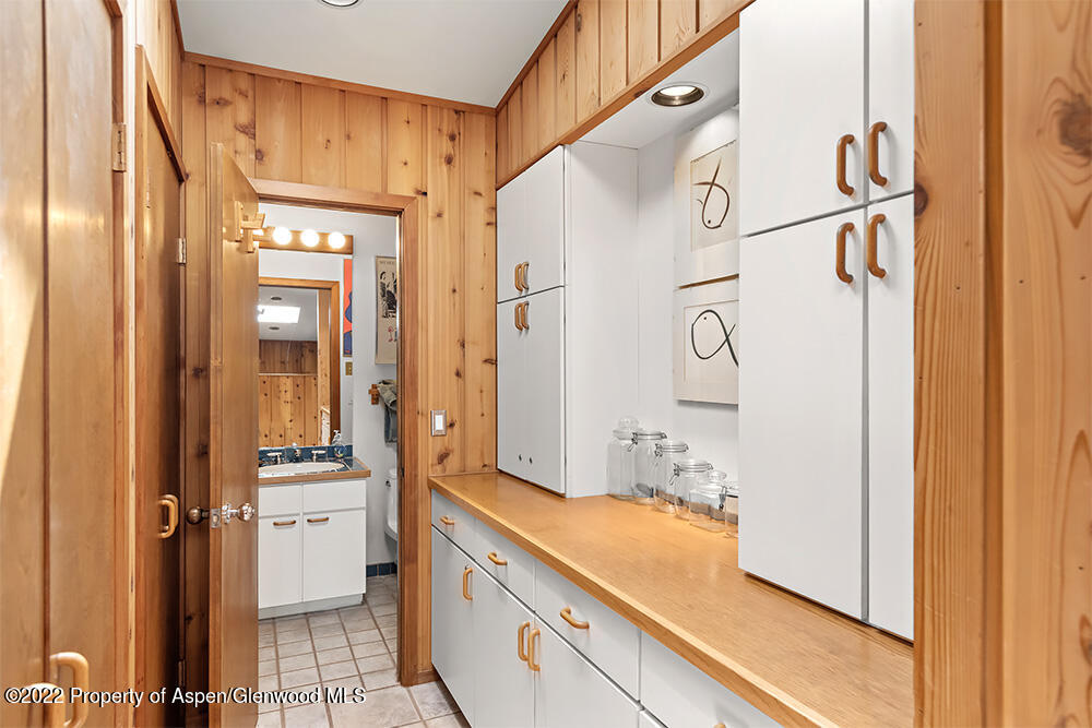 311 W North Street Aspen CO 81611