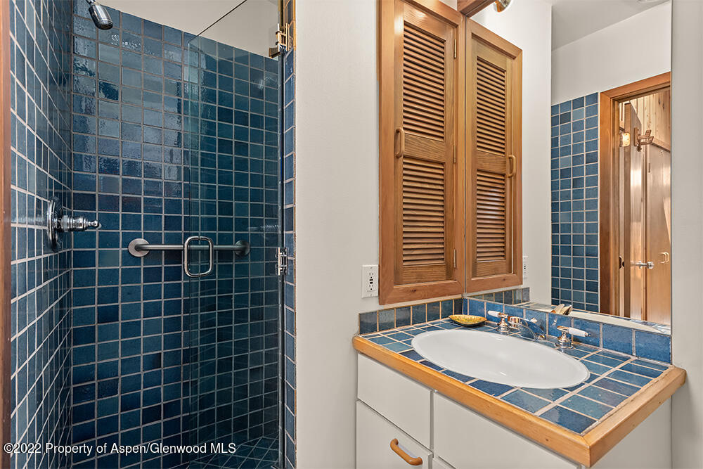 311 W North Street Aspen CO 81611