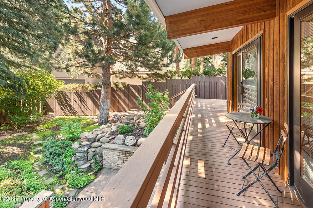 311 W North Street Aspen CO 81611