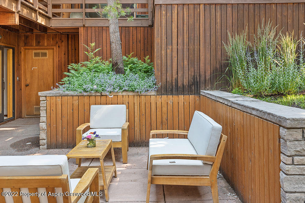 311 W North Street Aspen CO 81611