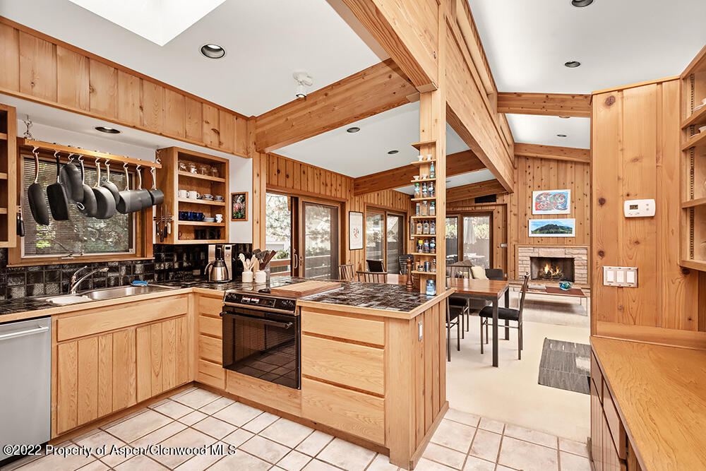 311 W North Street Aspen CO 81611